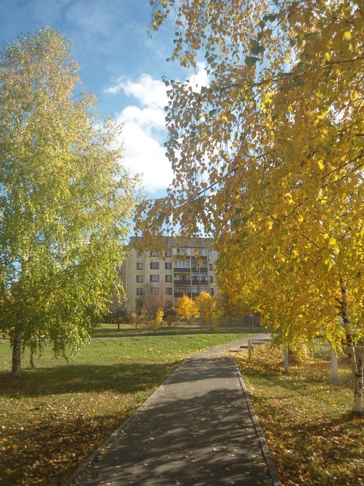 DSC00186.JPG