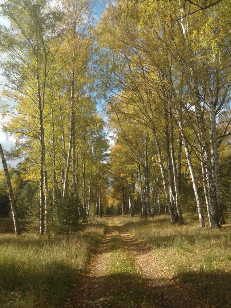 DSC00213.JPG