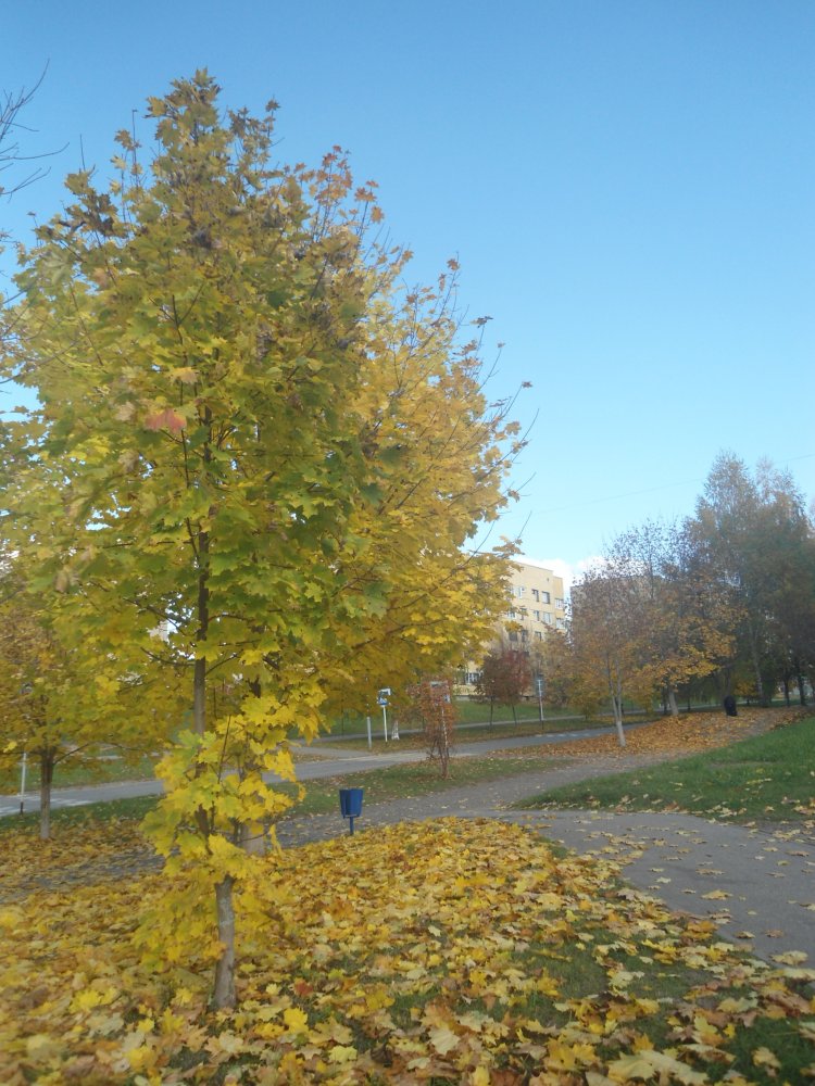 DSC00234.JPG
