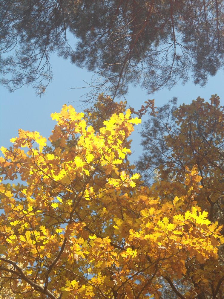 DSC00259.JPG