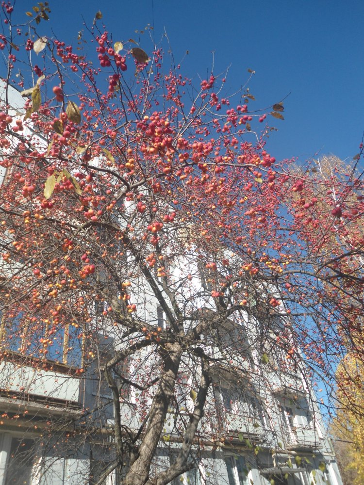 DSC00300.JPG