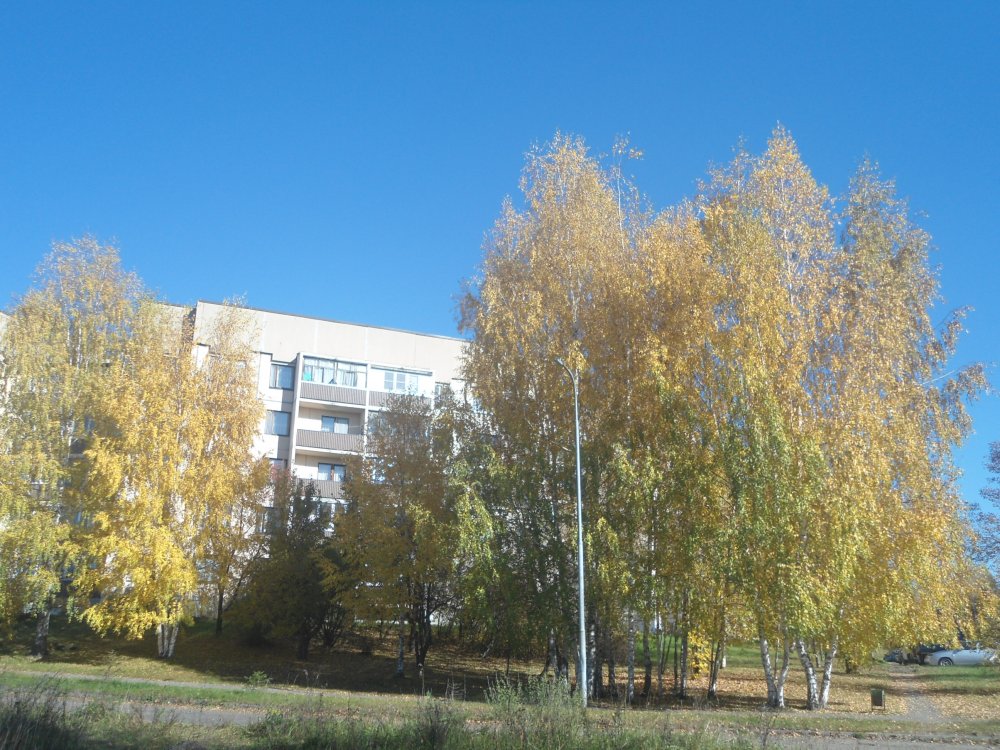 DSC00309.JPG