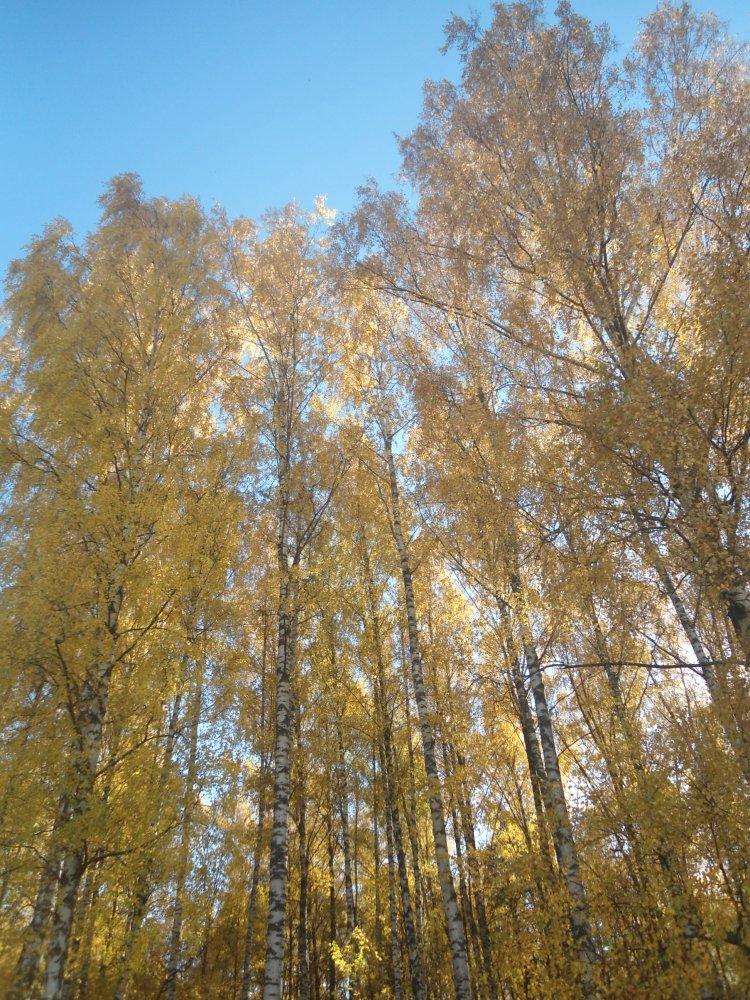 DSC00310.JPG