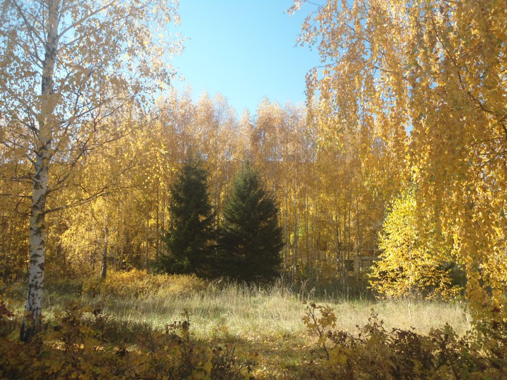 DSC00315.JPG