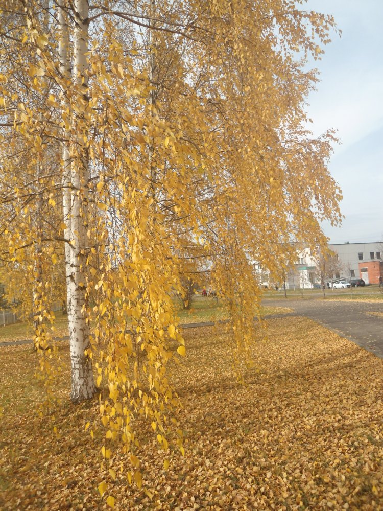 DSC00322.JPG