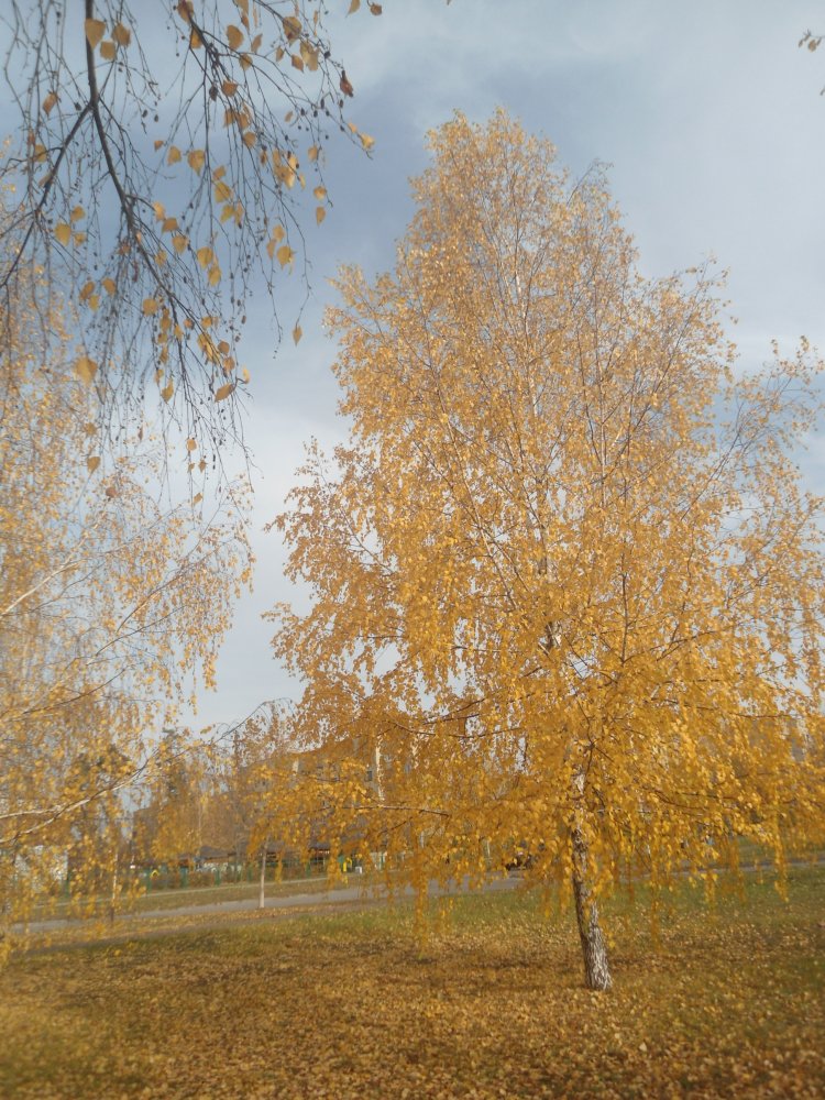 DSC00323.JPG