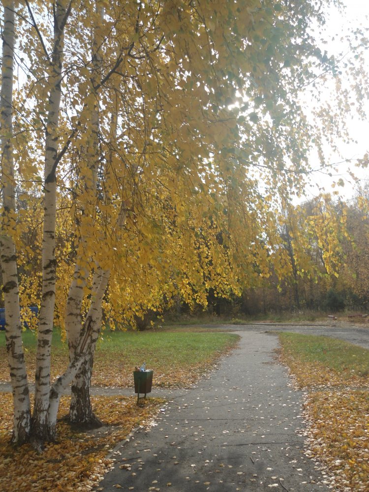 DSC00329.JPG