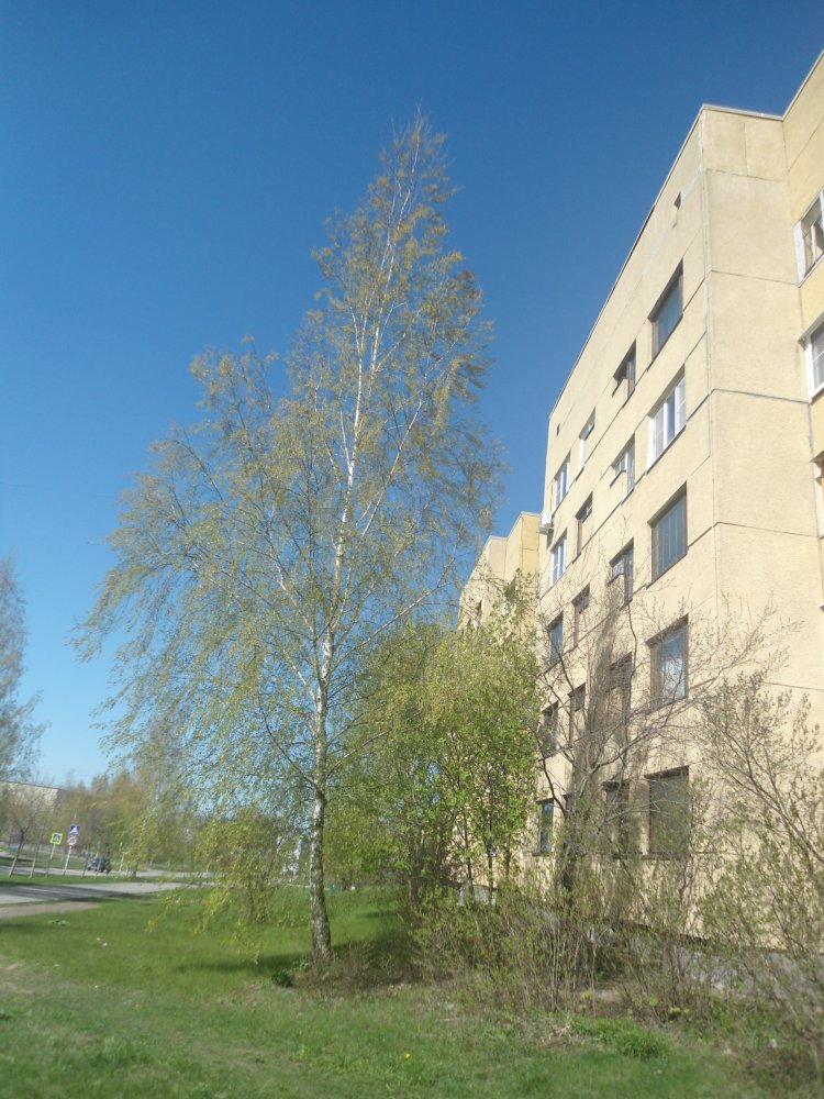 DSC00330.JPG