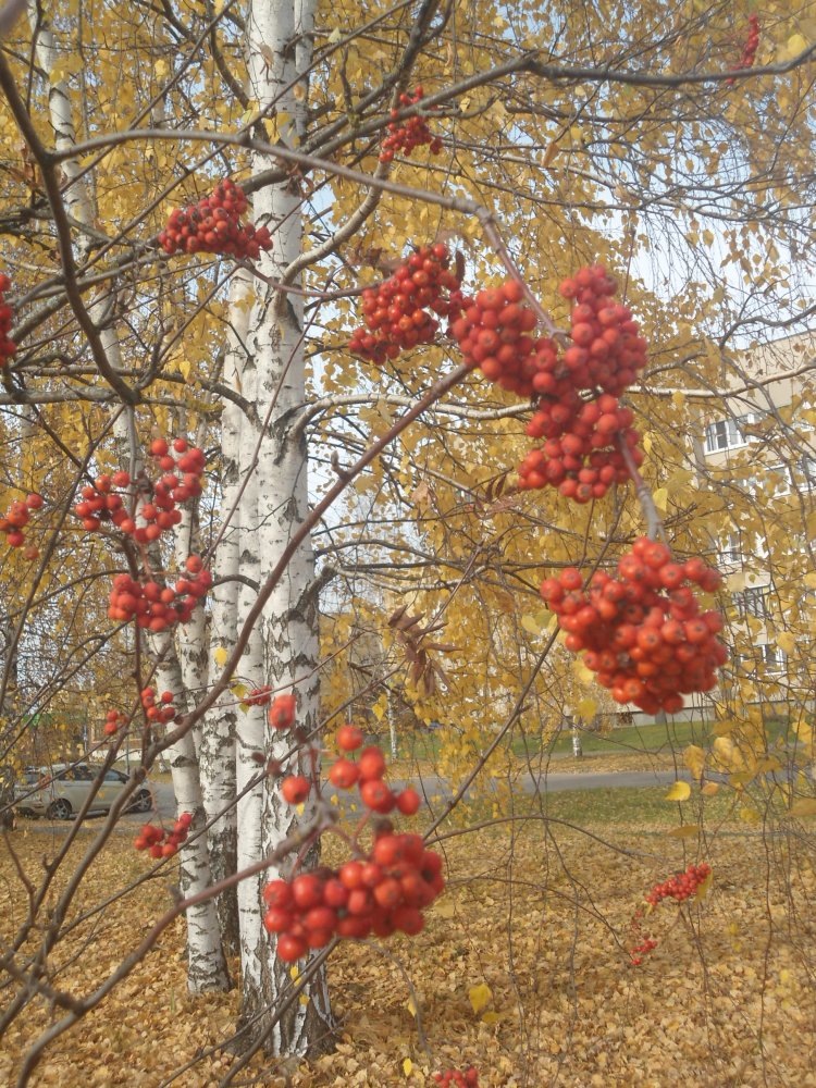 DSC00332.JPG
