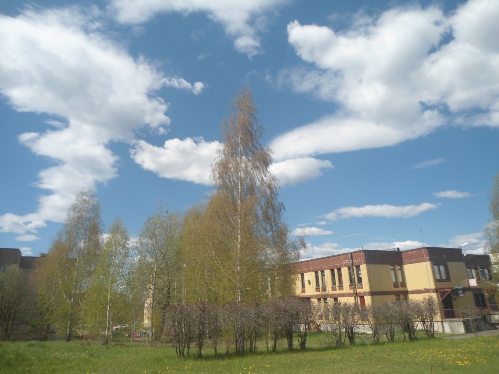 DSC00366.JPG