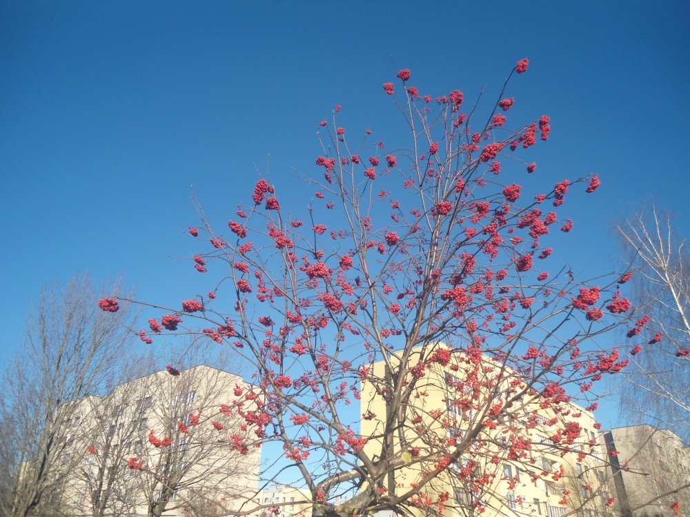 DSC00371.JPG