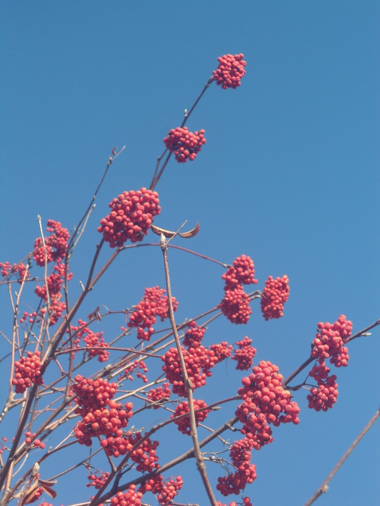 DSC00374.JPG