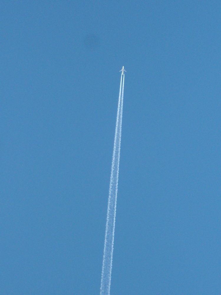 DSC00423.JPG