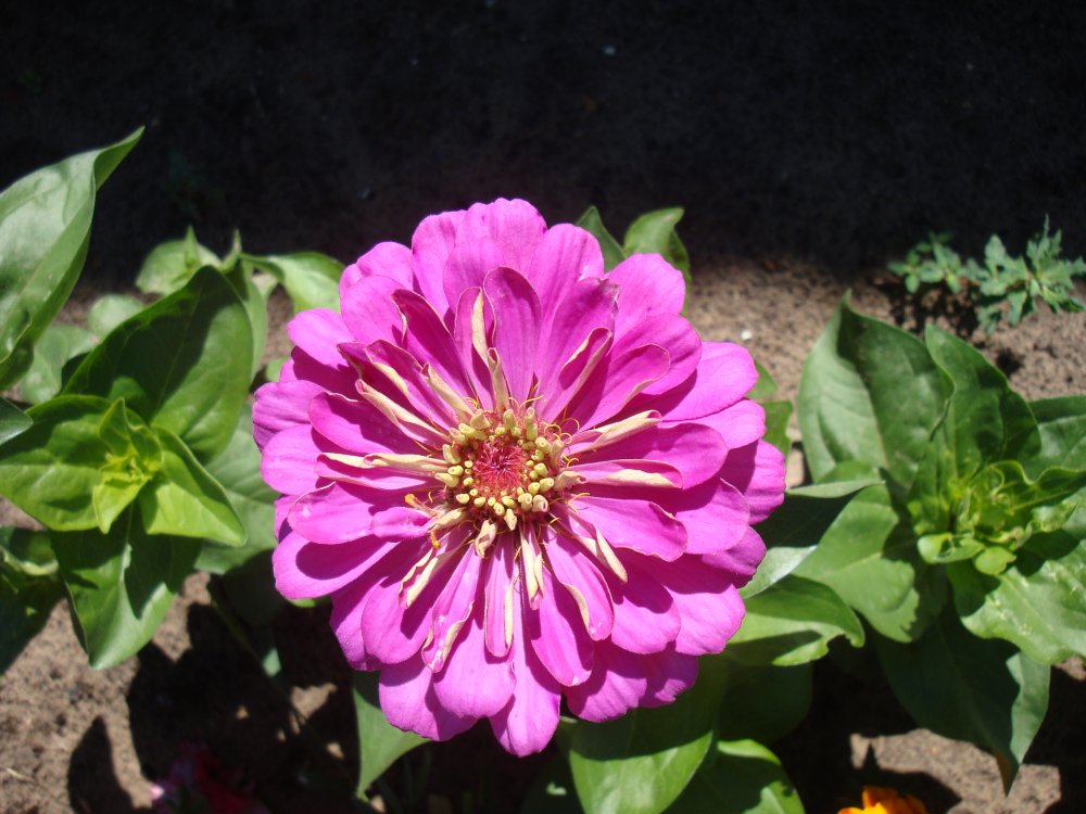 DSC00424.JPG