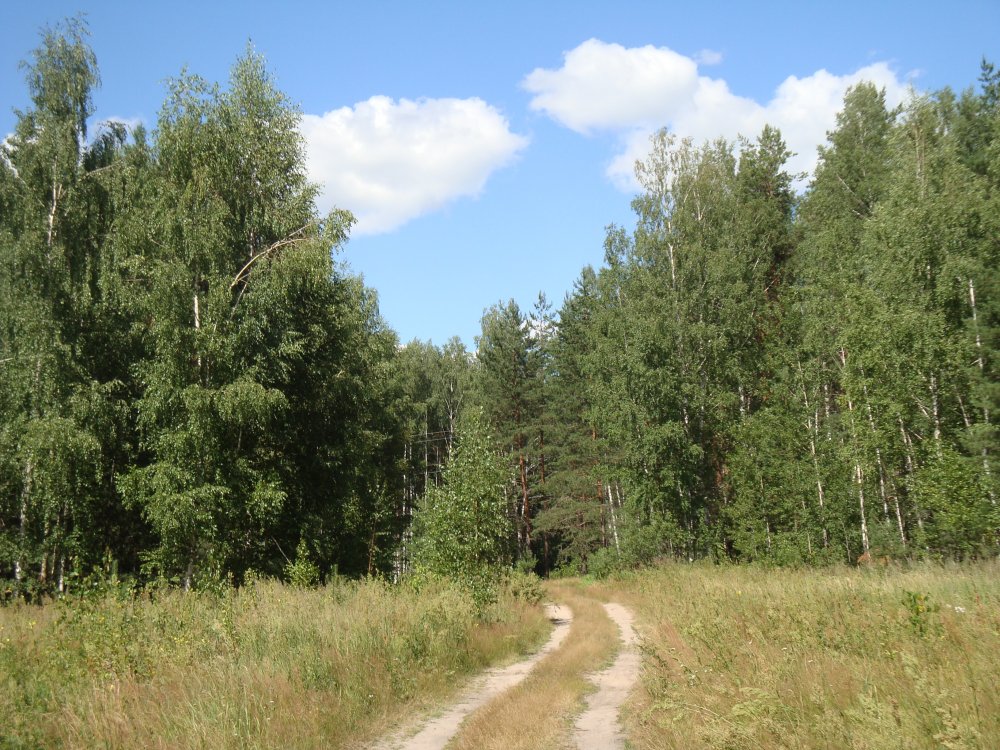 DSC00489.JPG
