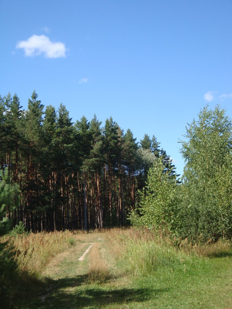 DSC00608.JPG