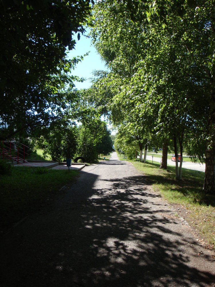 DSC00617.JPG