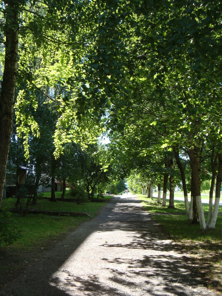 DSC00618.JPG