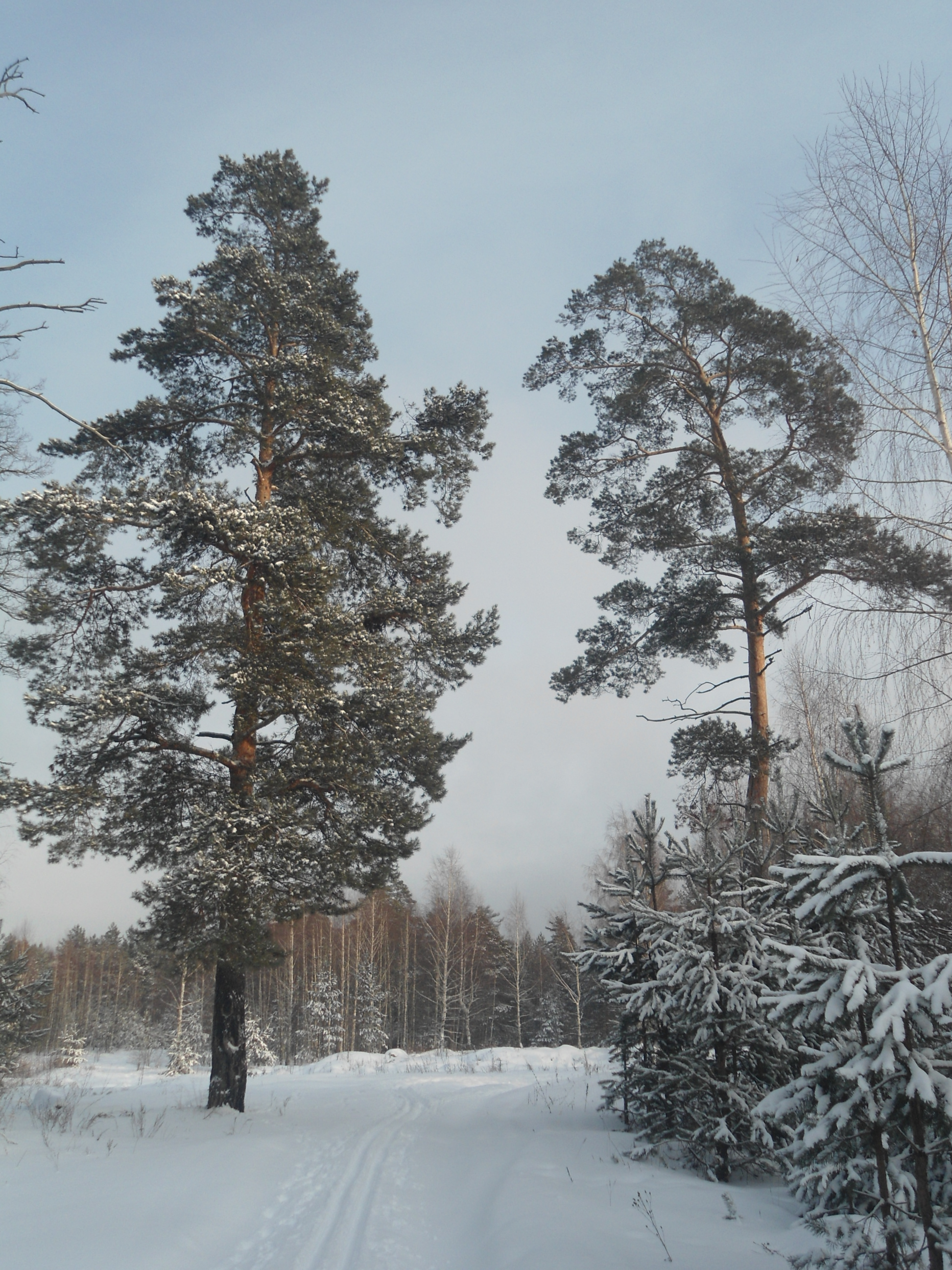 DSC00718.JPG