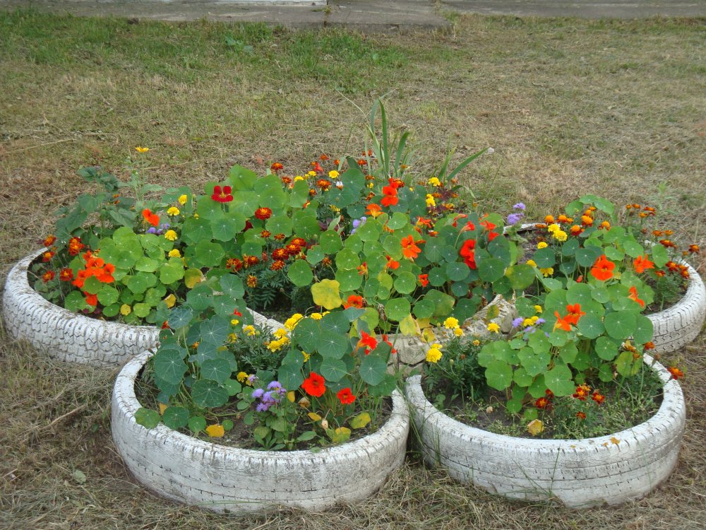 DSC00784.JPG