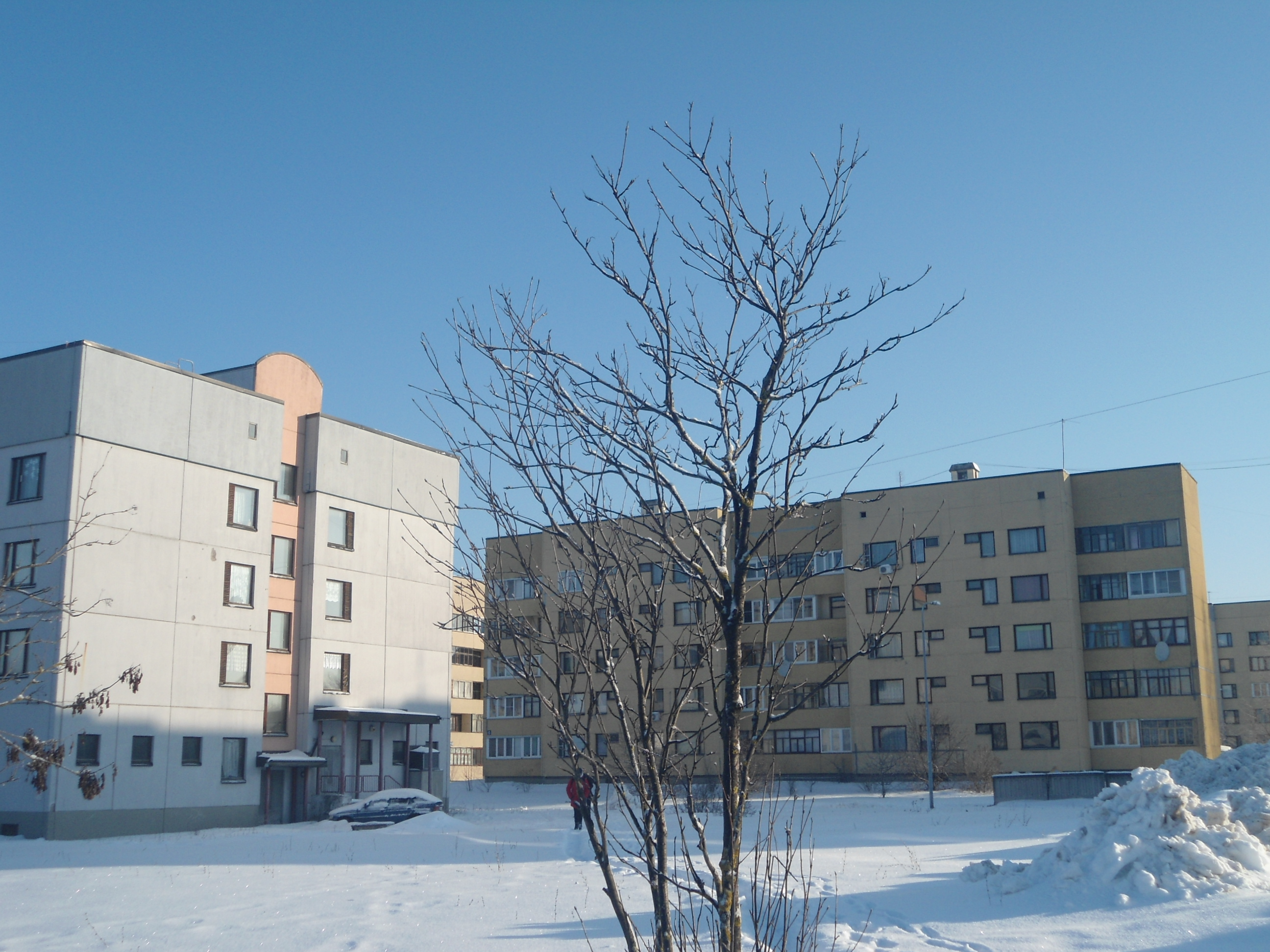 DSC01046.JPG