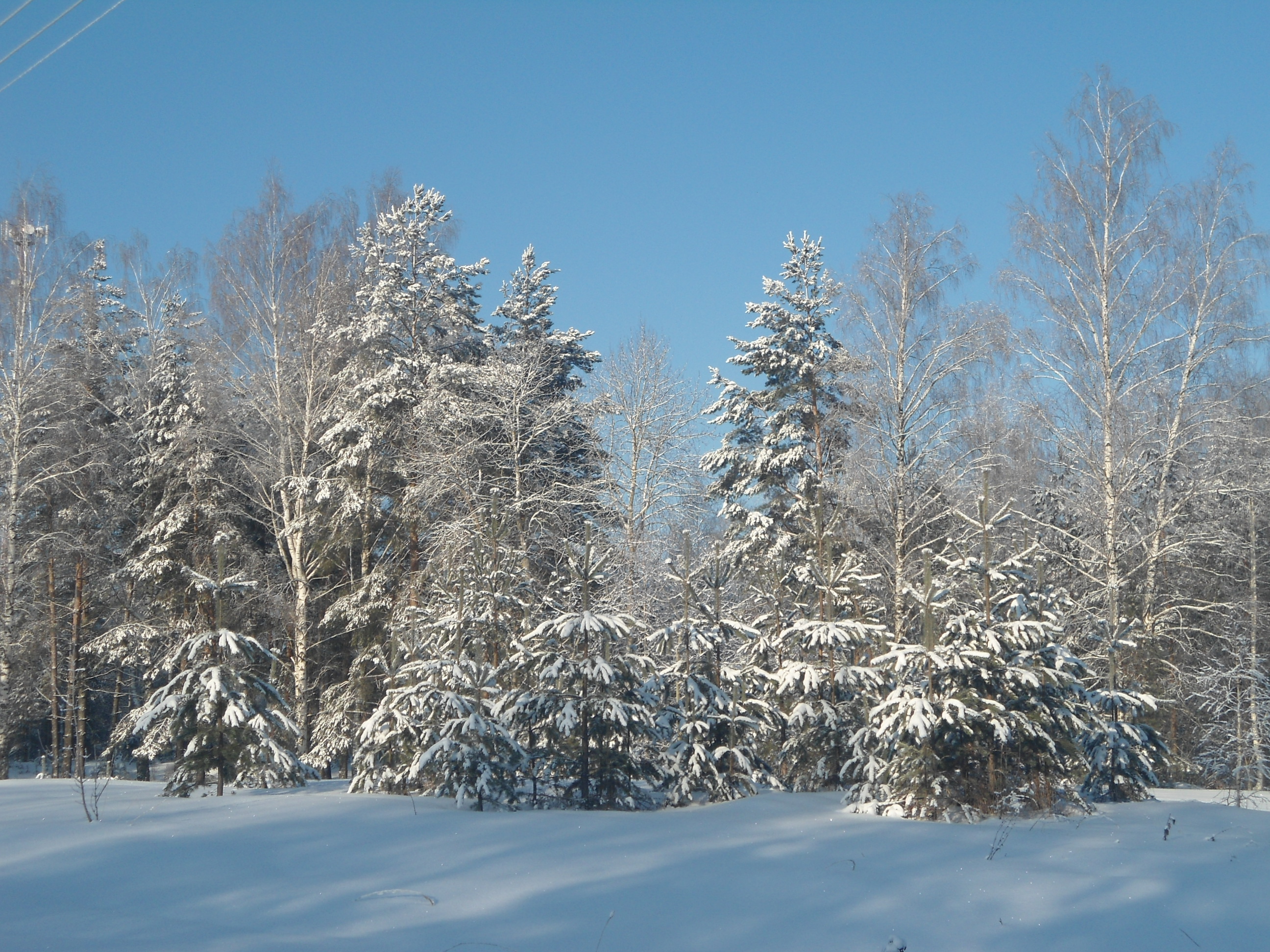 DSC01070.JPG