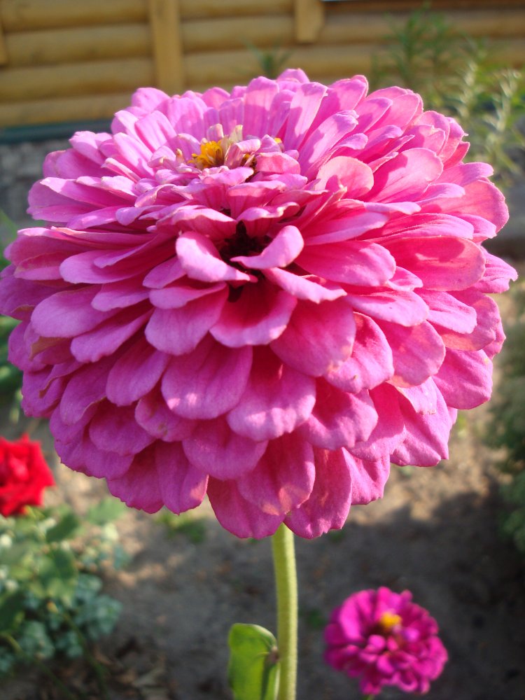 DSC01412.JPG