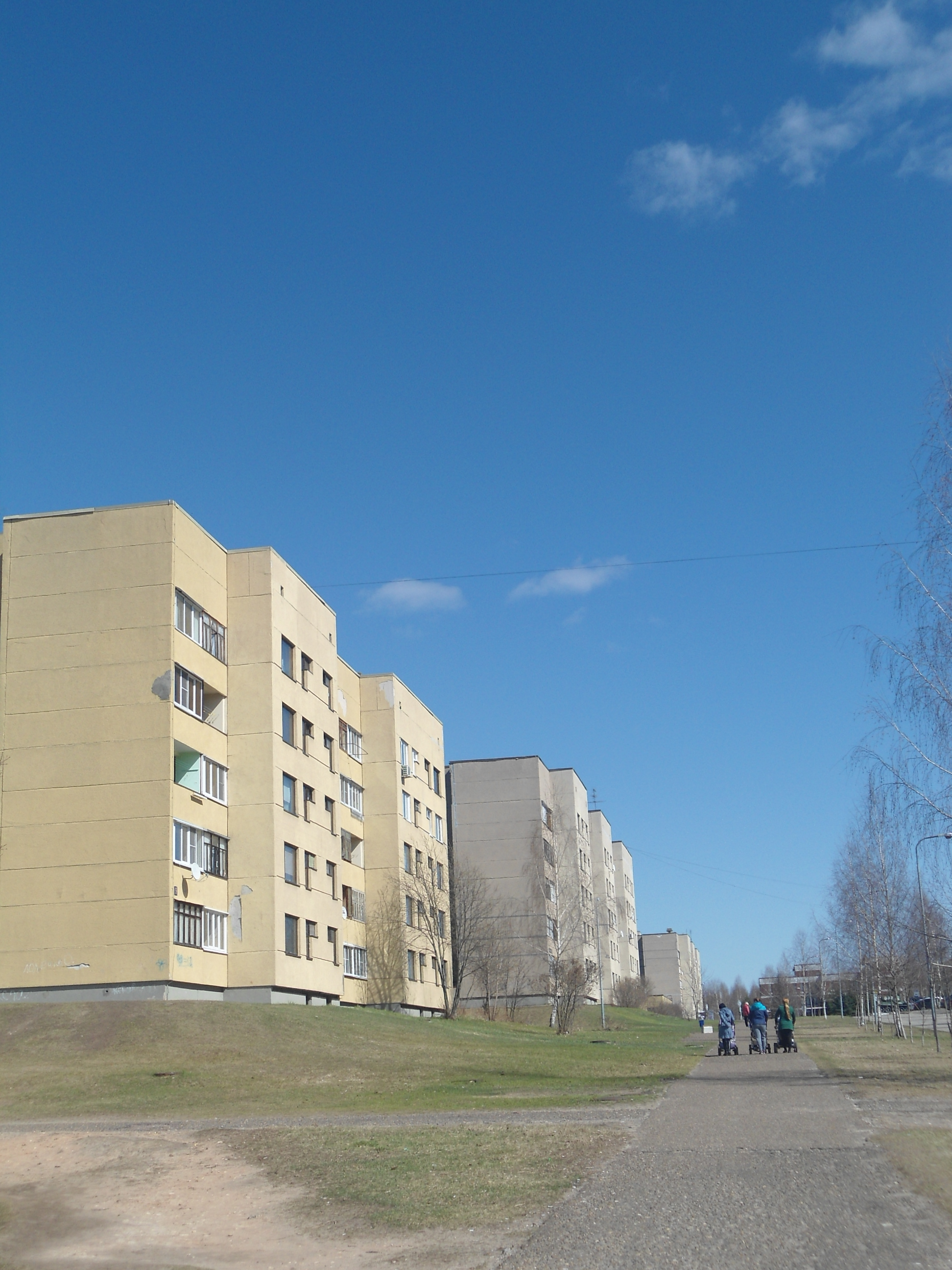 DSC01942.JPG