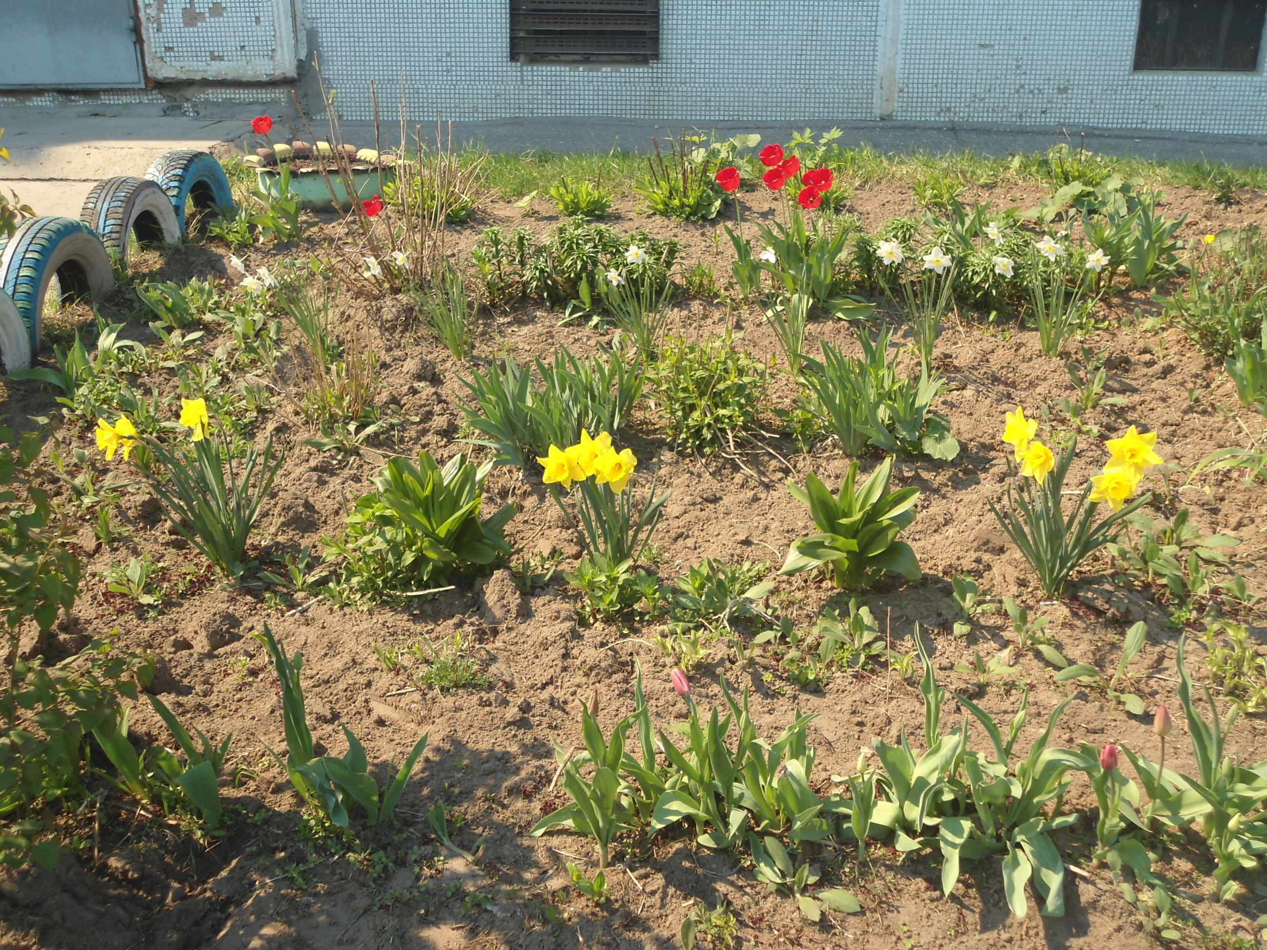 DSC02265.JPG