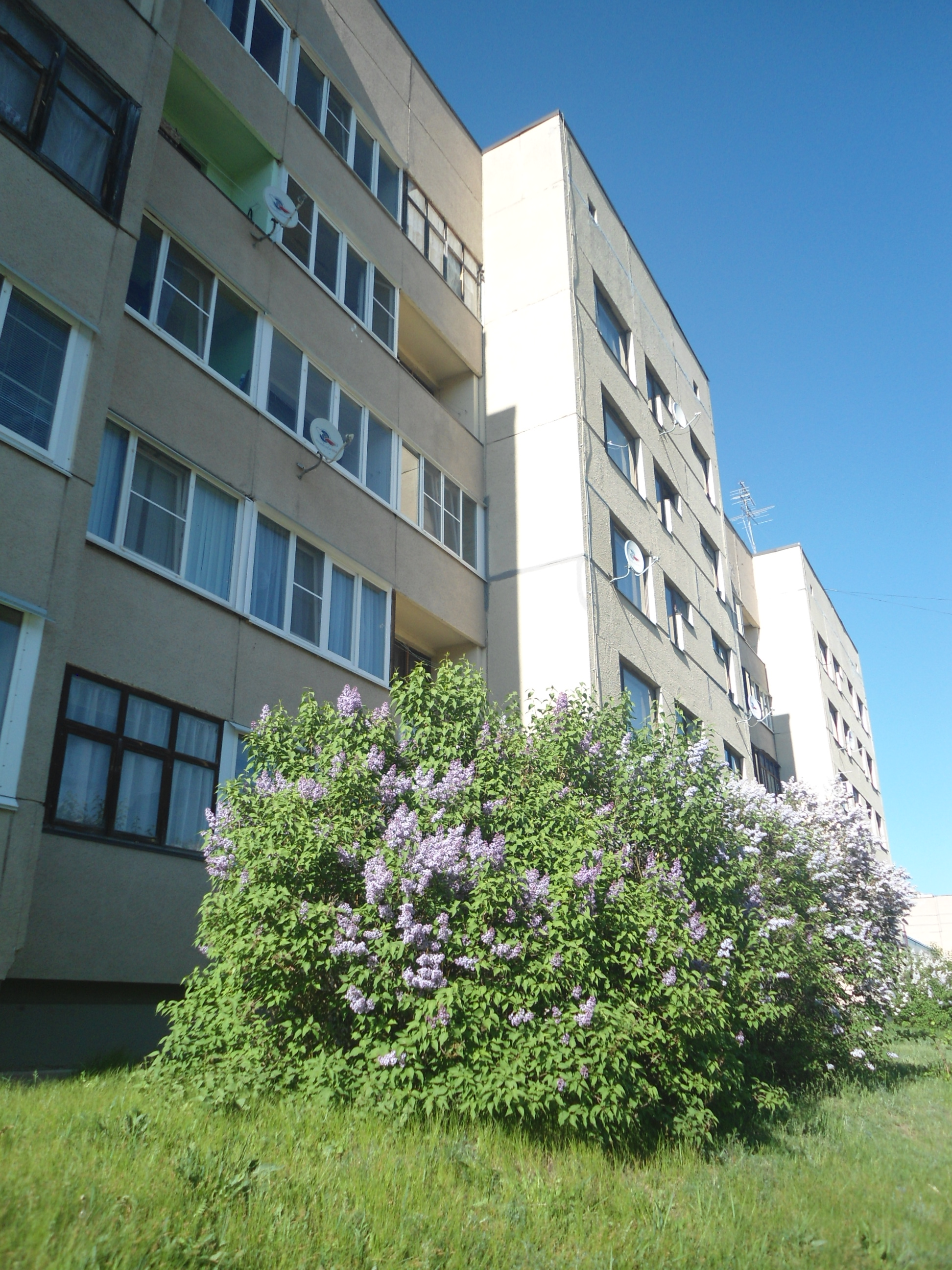 DSC02515.JPG