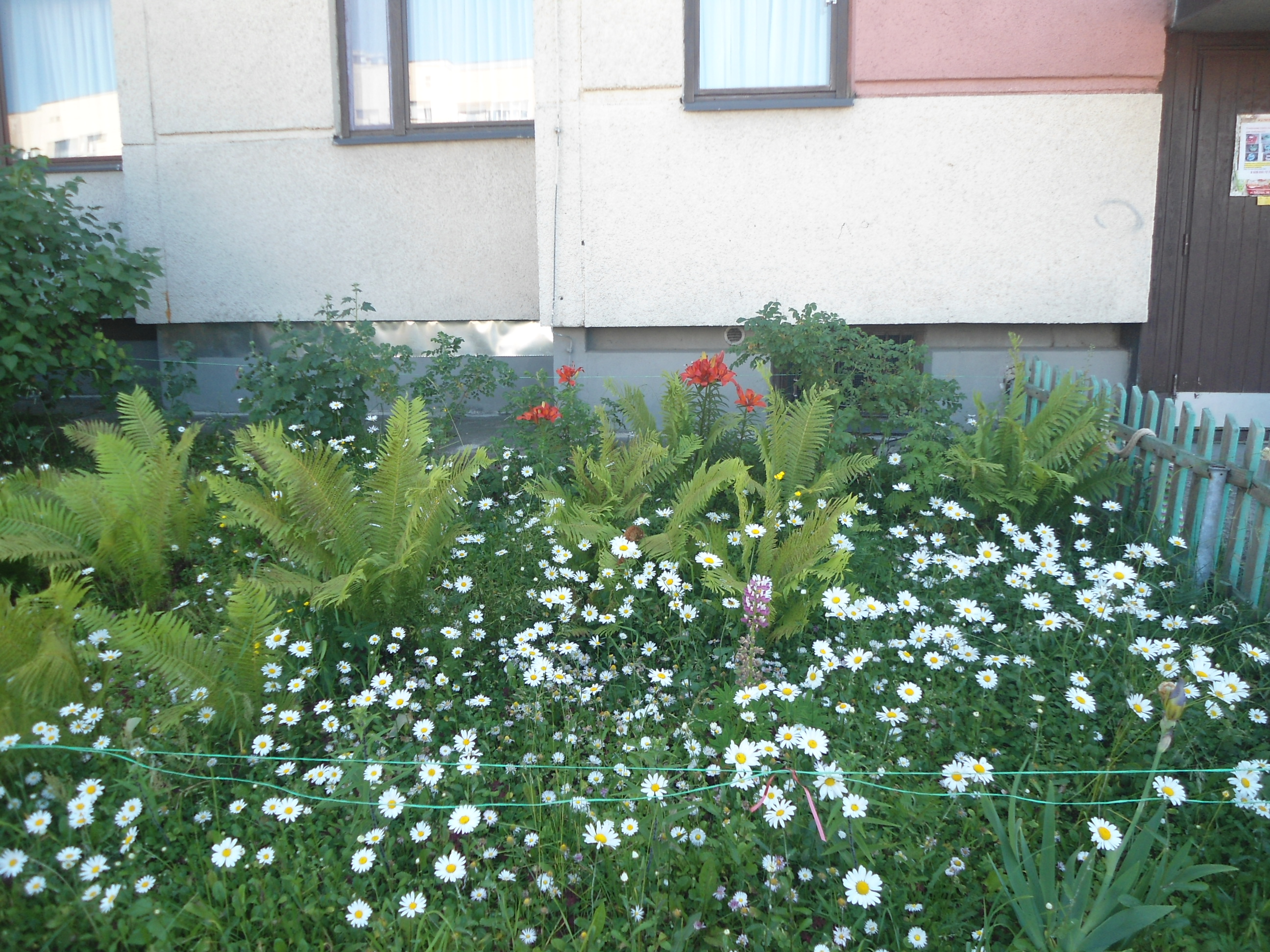 DSC02778.JPG