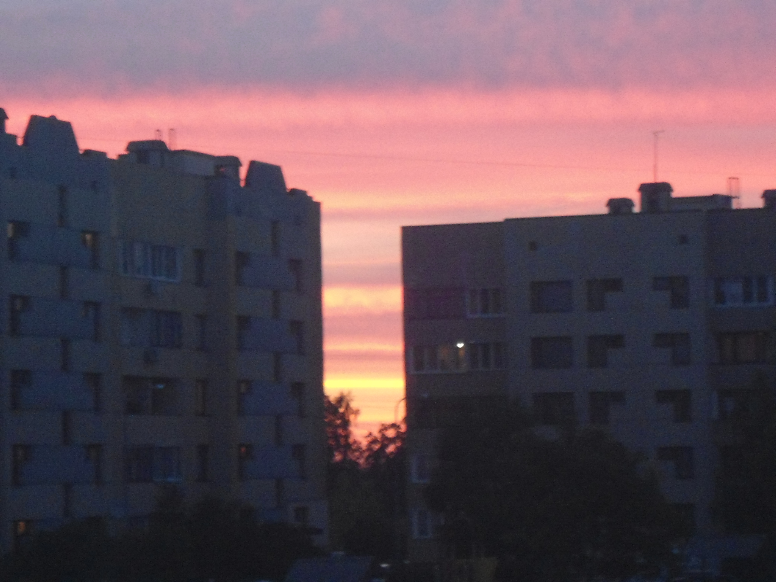 DSC02799.JPG