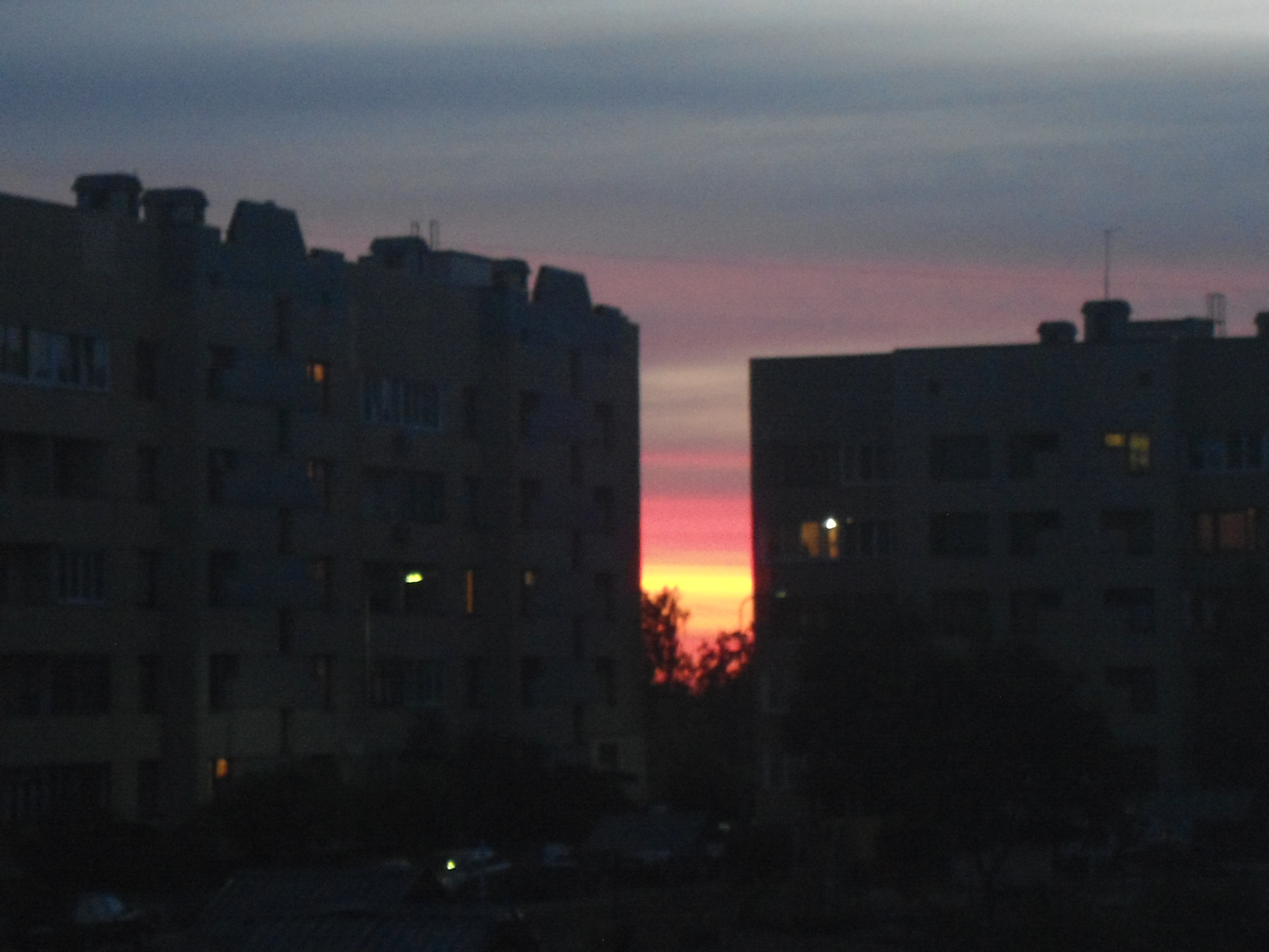 DSC02805.JPG