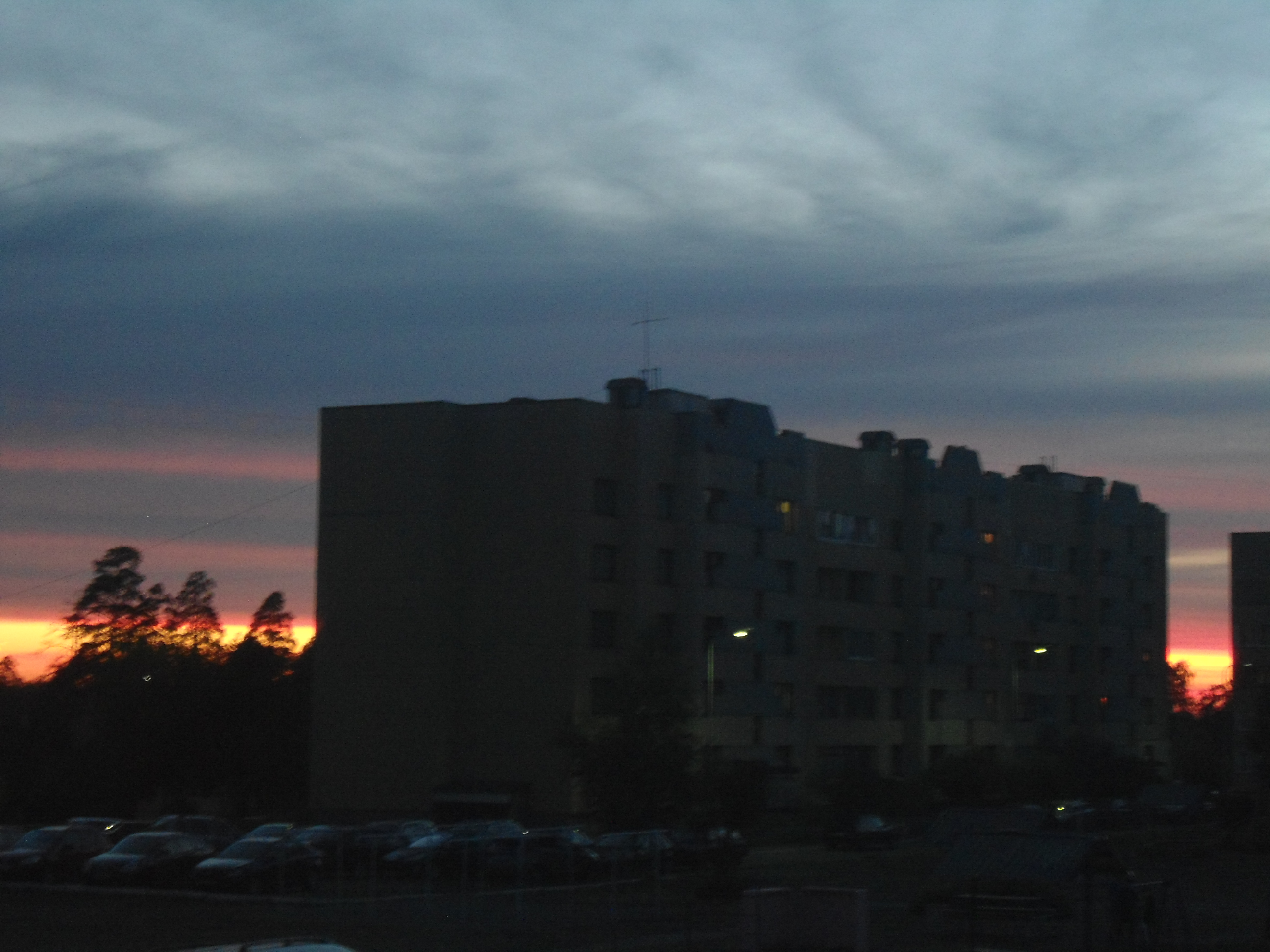 DSC02813.JPG