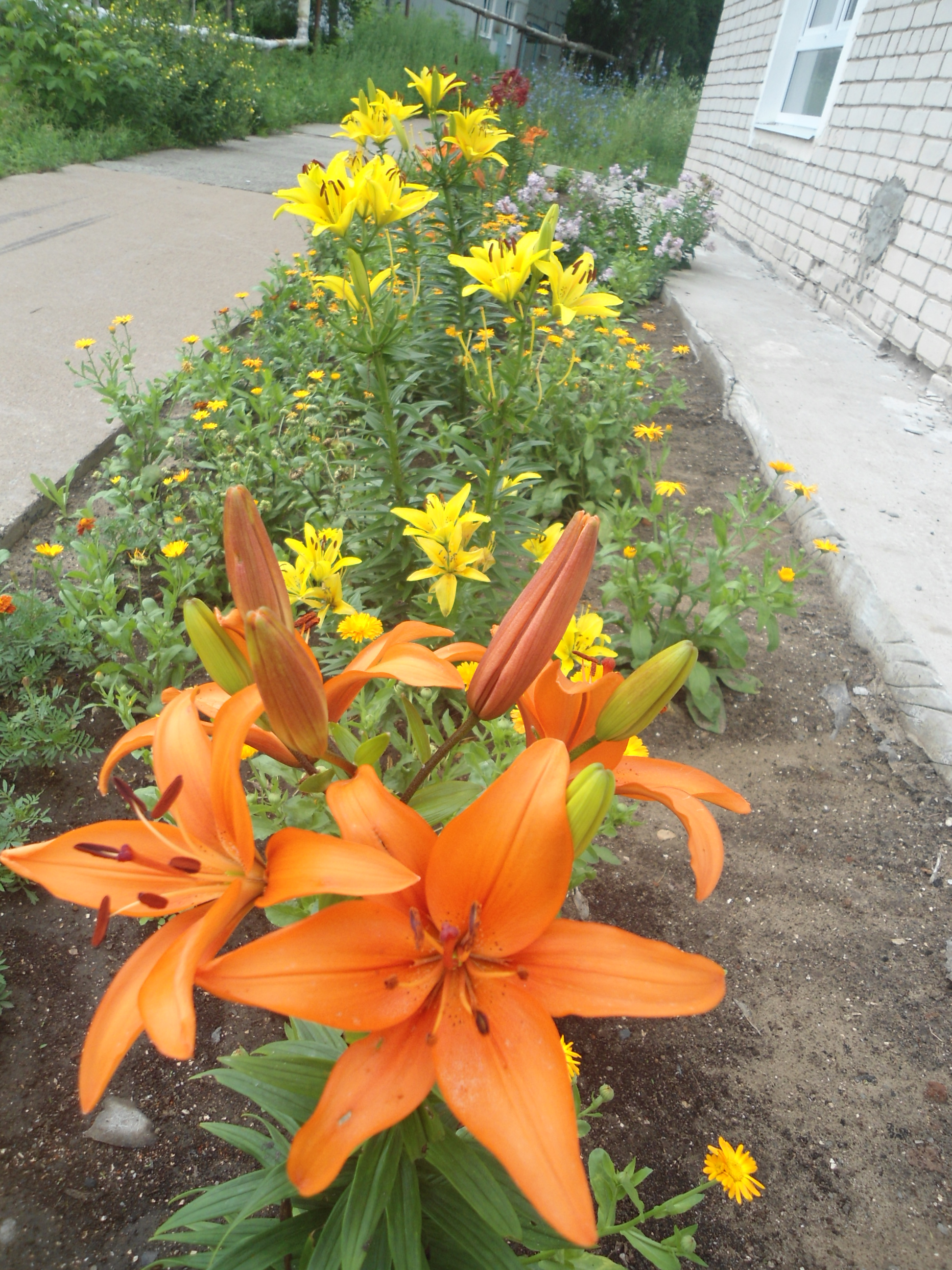 DSC03324.JPG