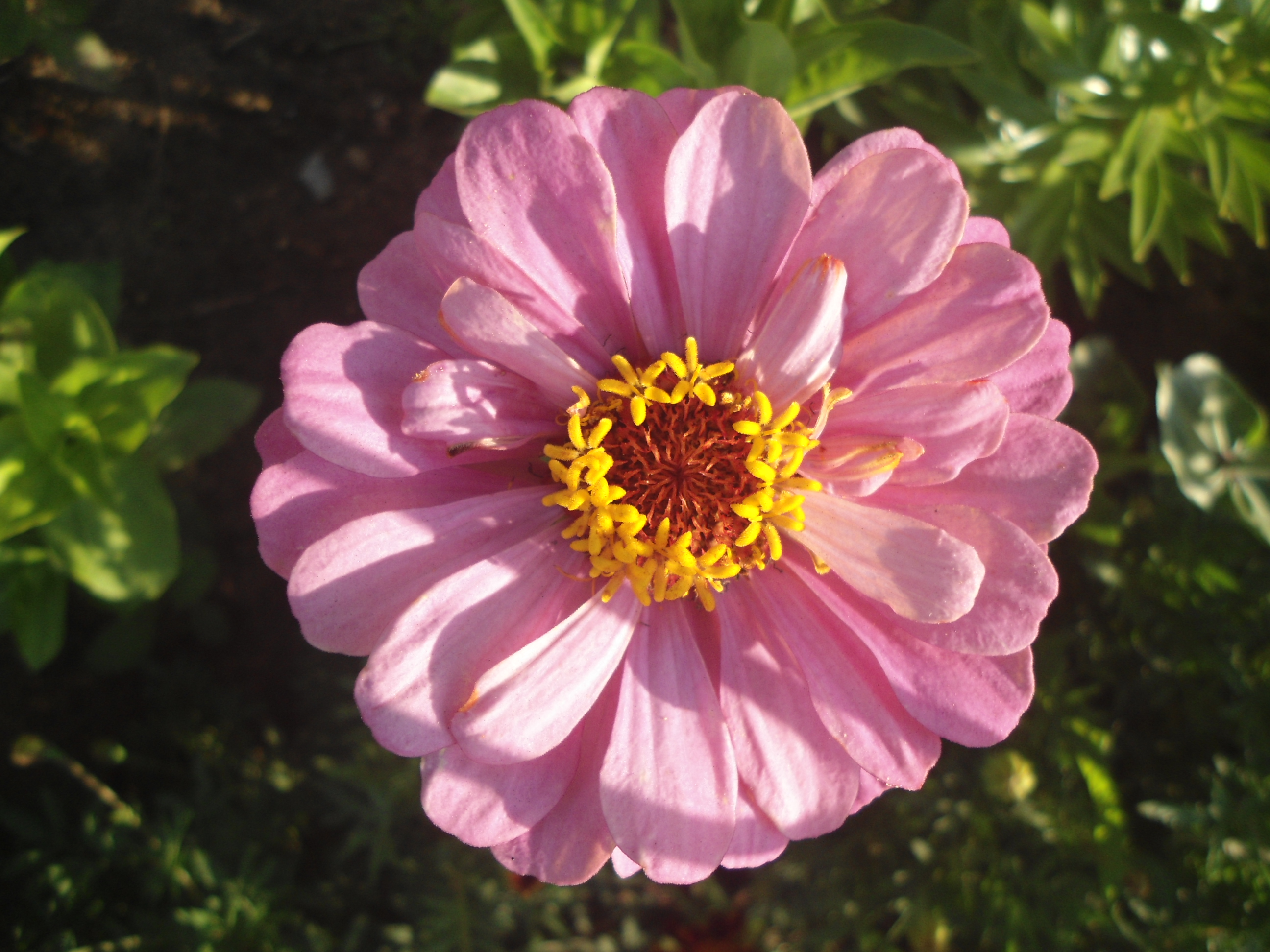 DSC08971.JPG