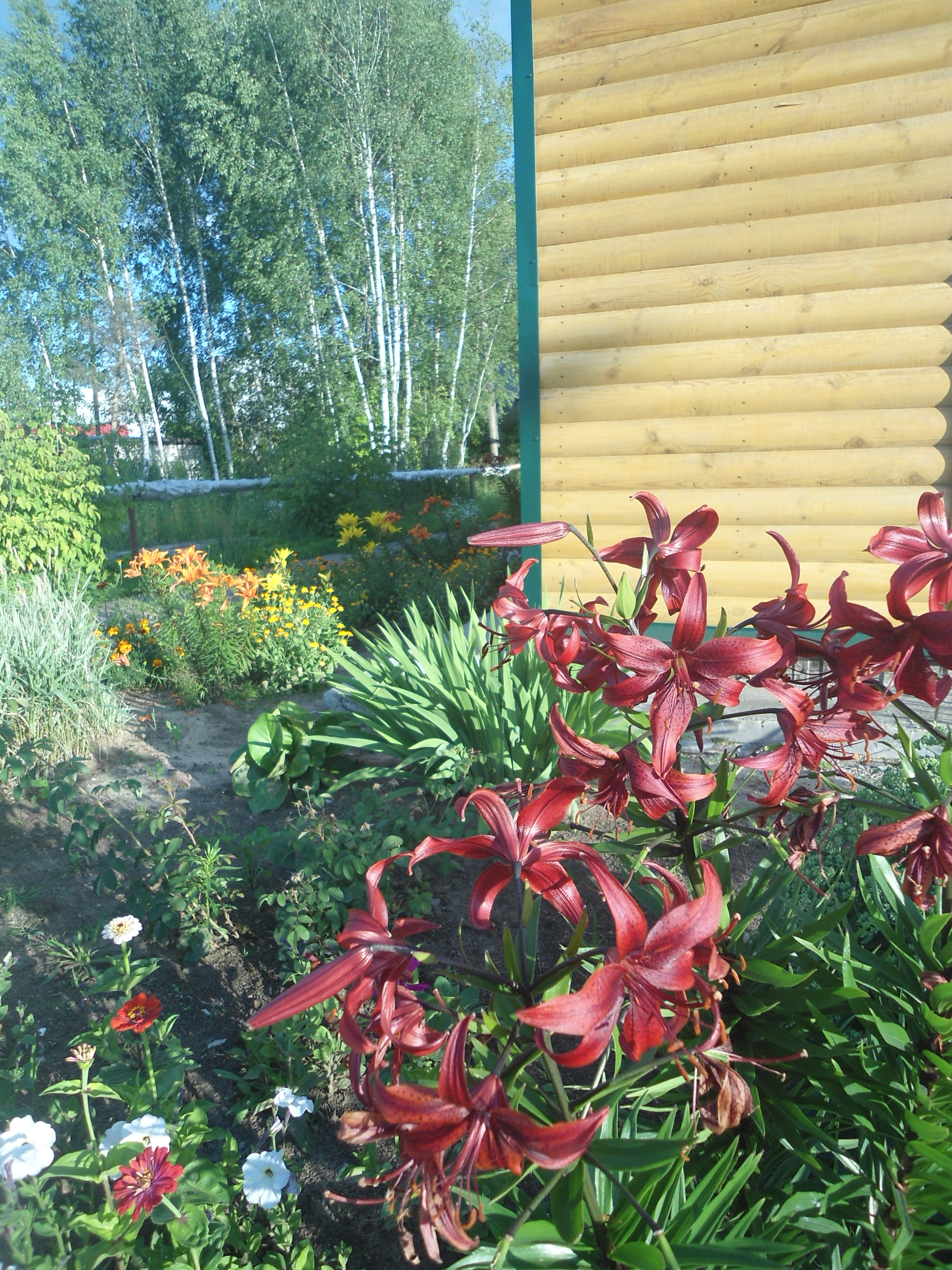 DSC08972.JPG