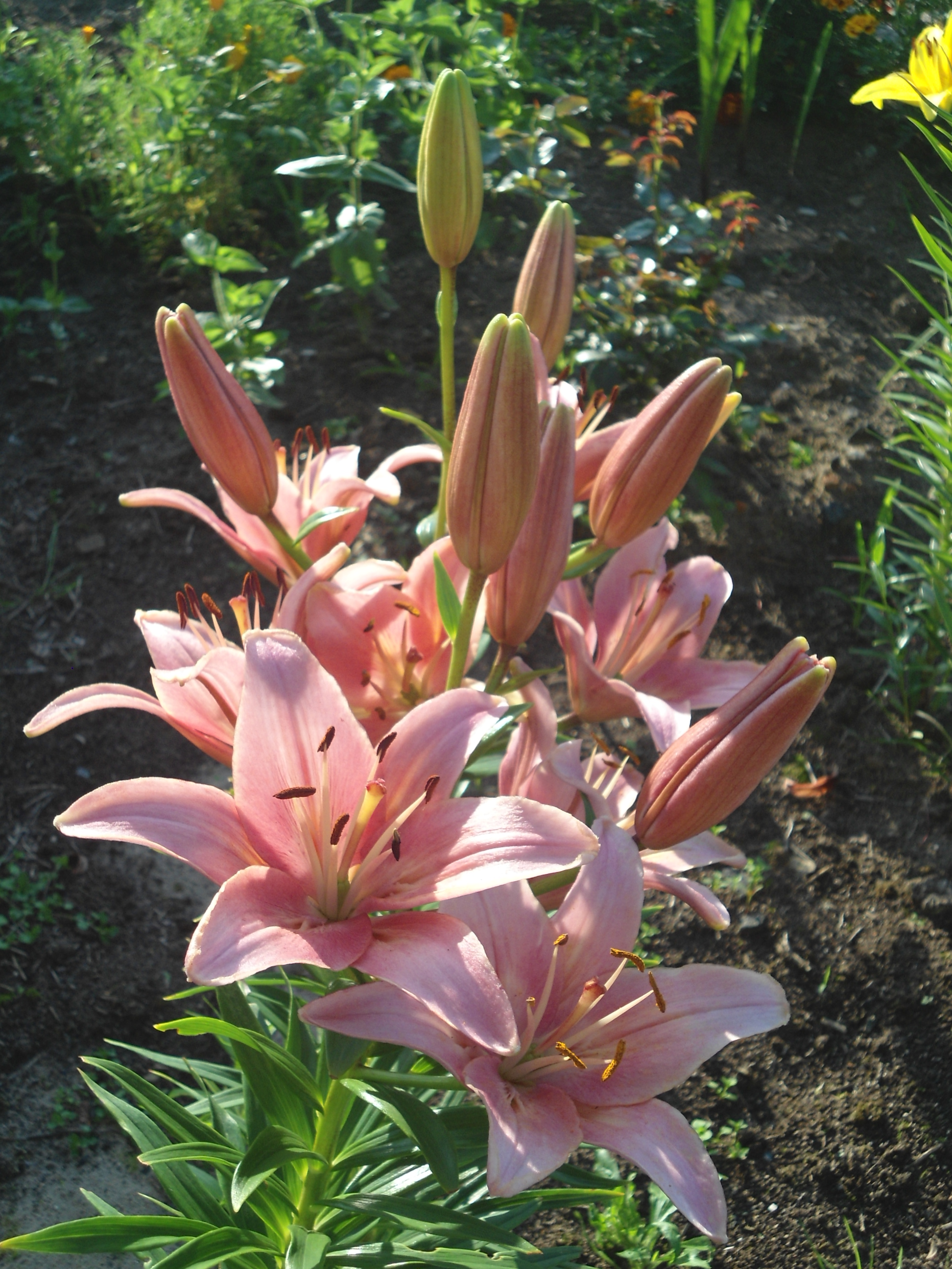 DSC08977.JPG