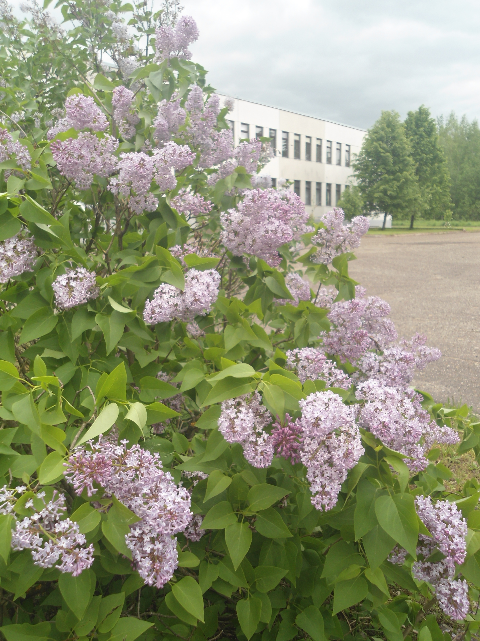 DSC09137.JPG