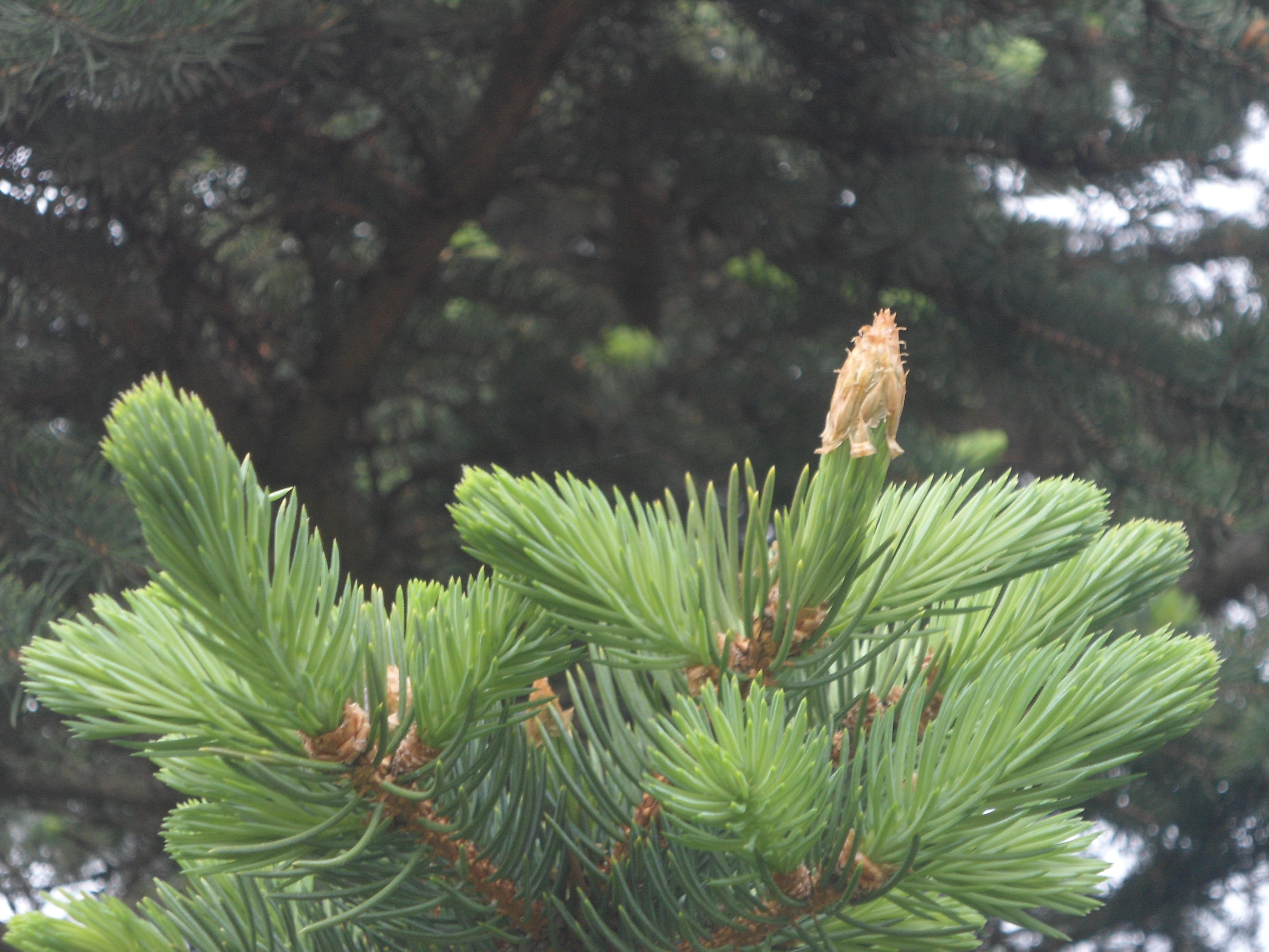 DSC09155.JPG