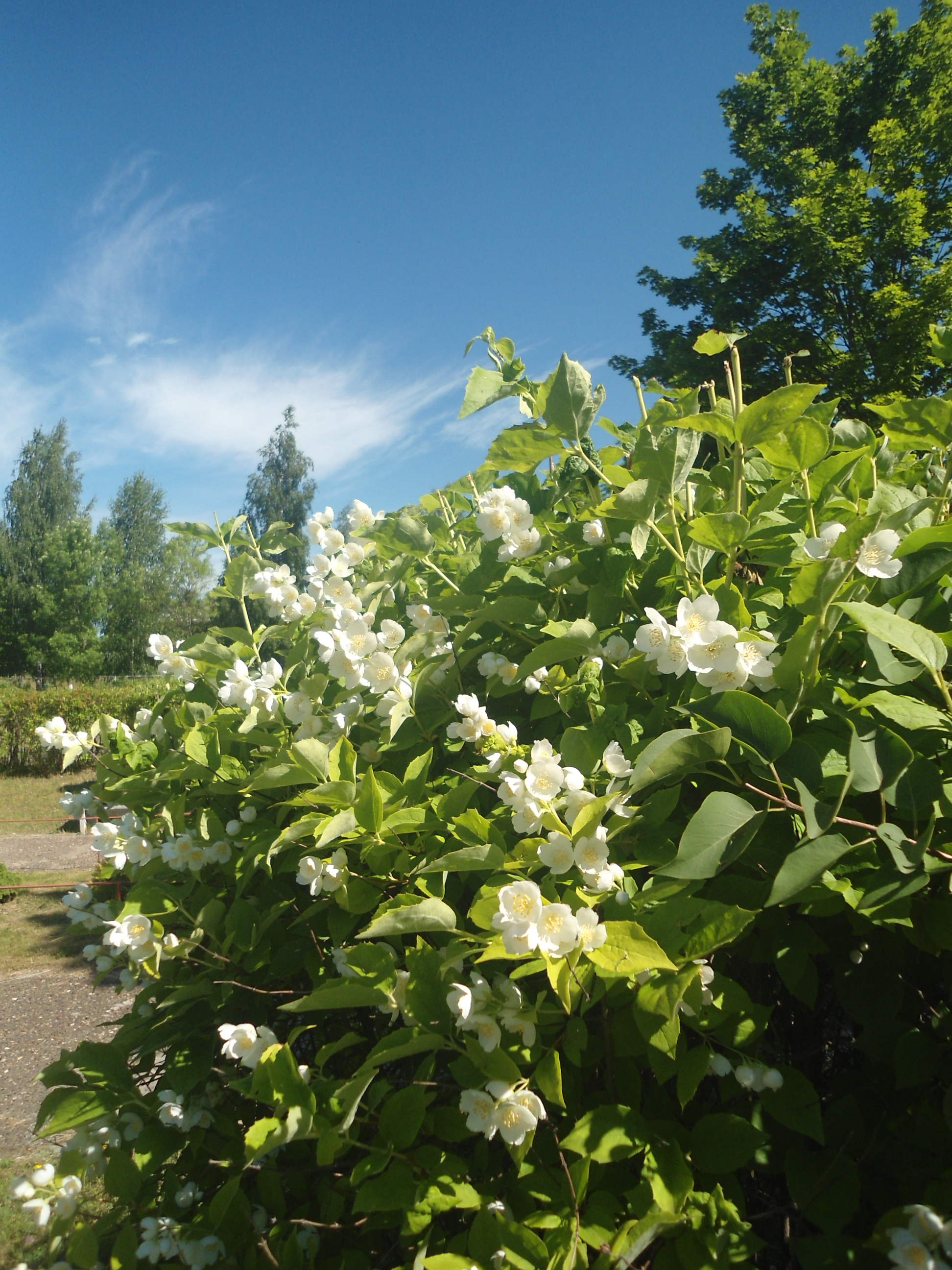 DSC09170.JPG