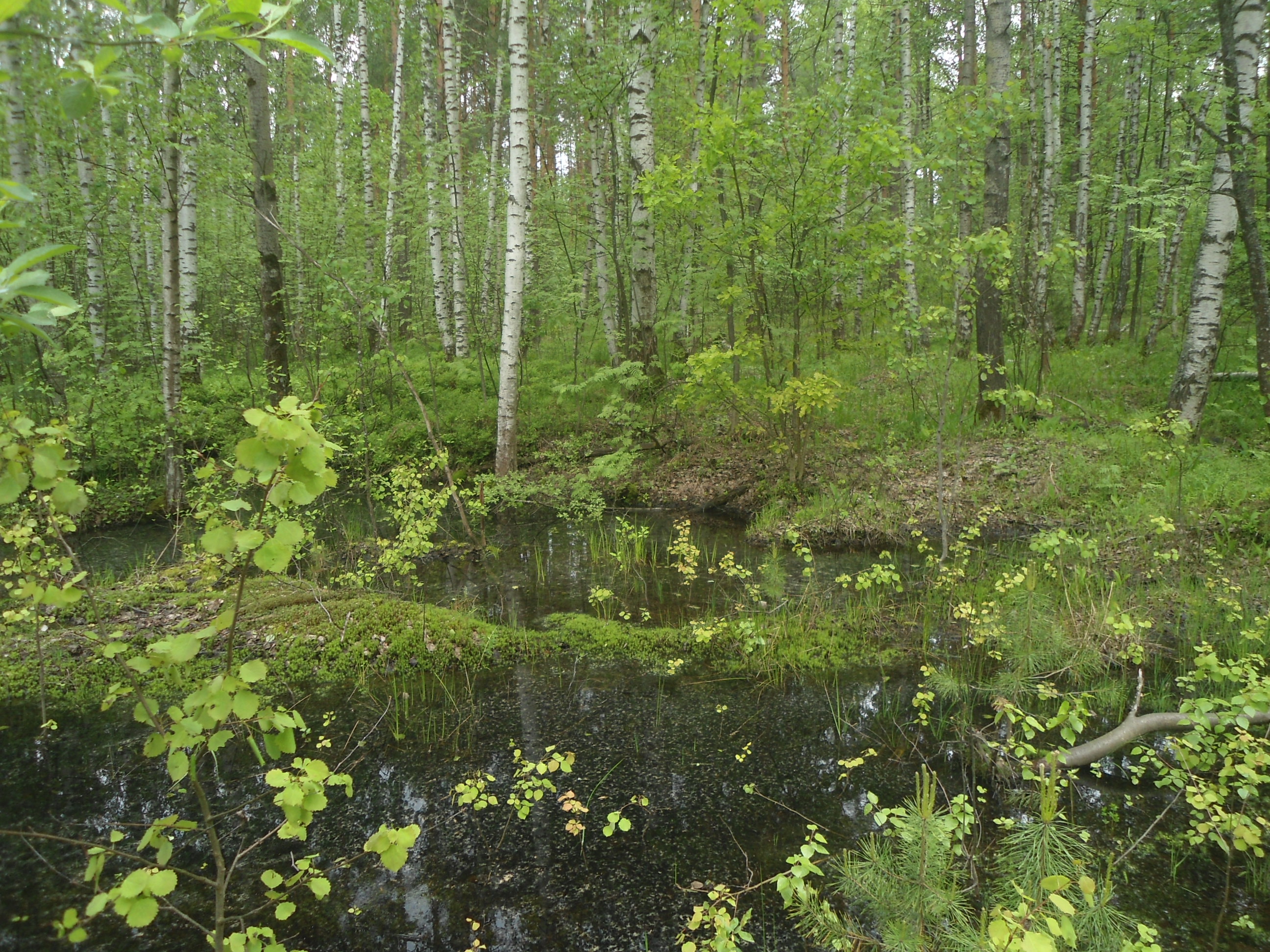DSC09206.JPG