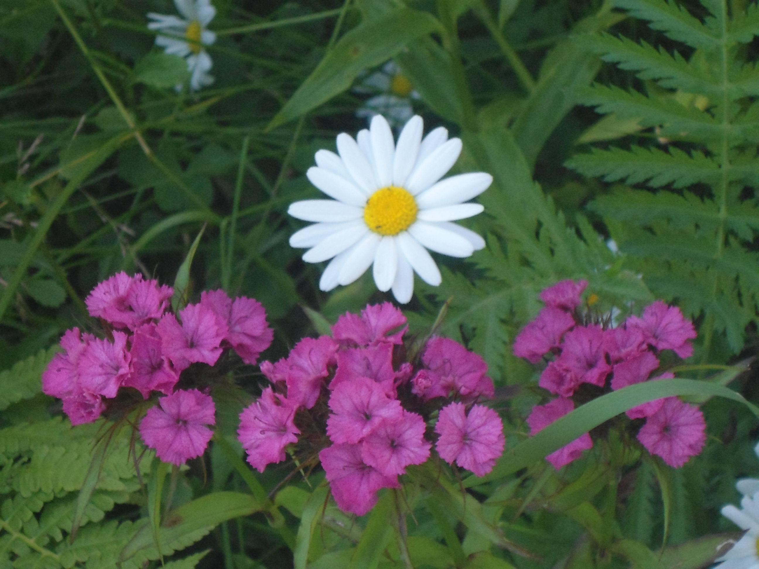 DSC09216.JPG