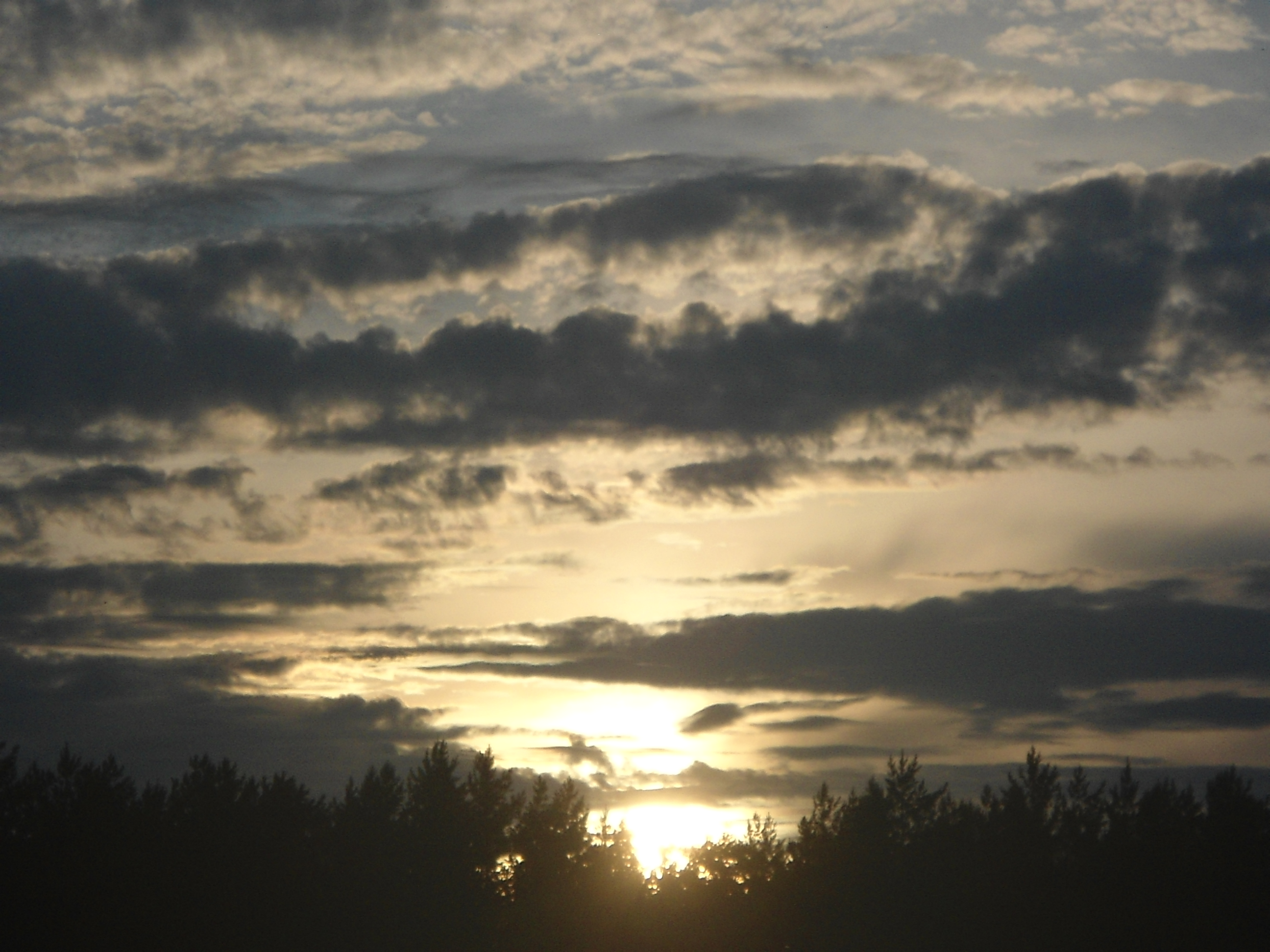 DSC09286.JPG