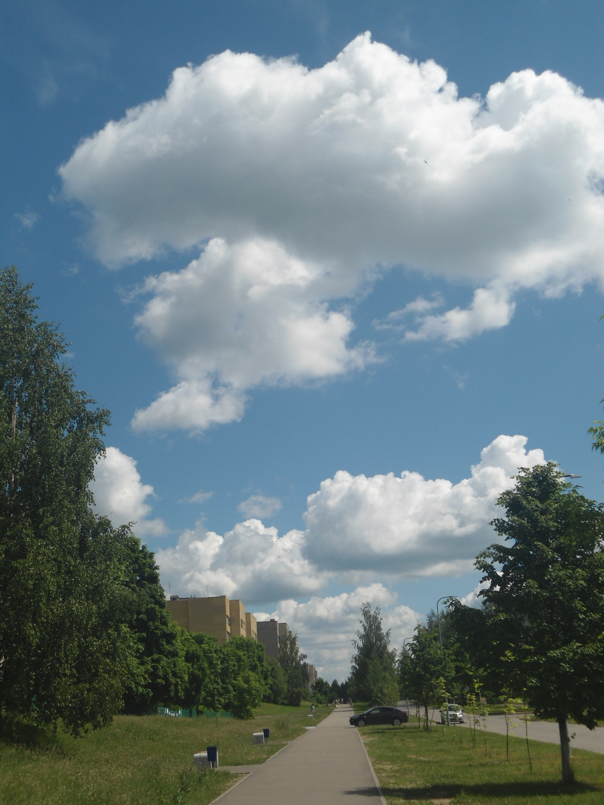 DSC09321.JPG