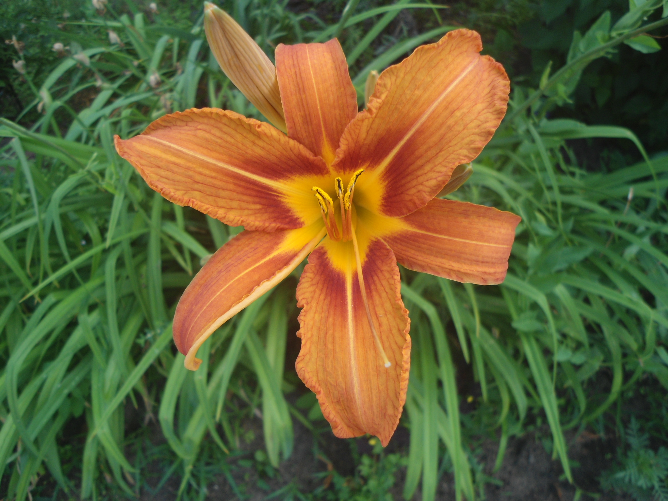 DSC09363.JPG