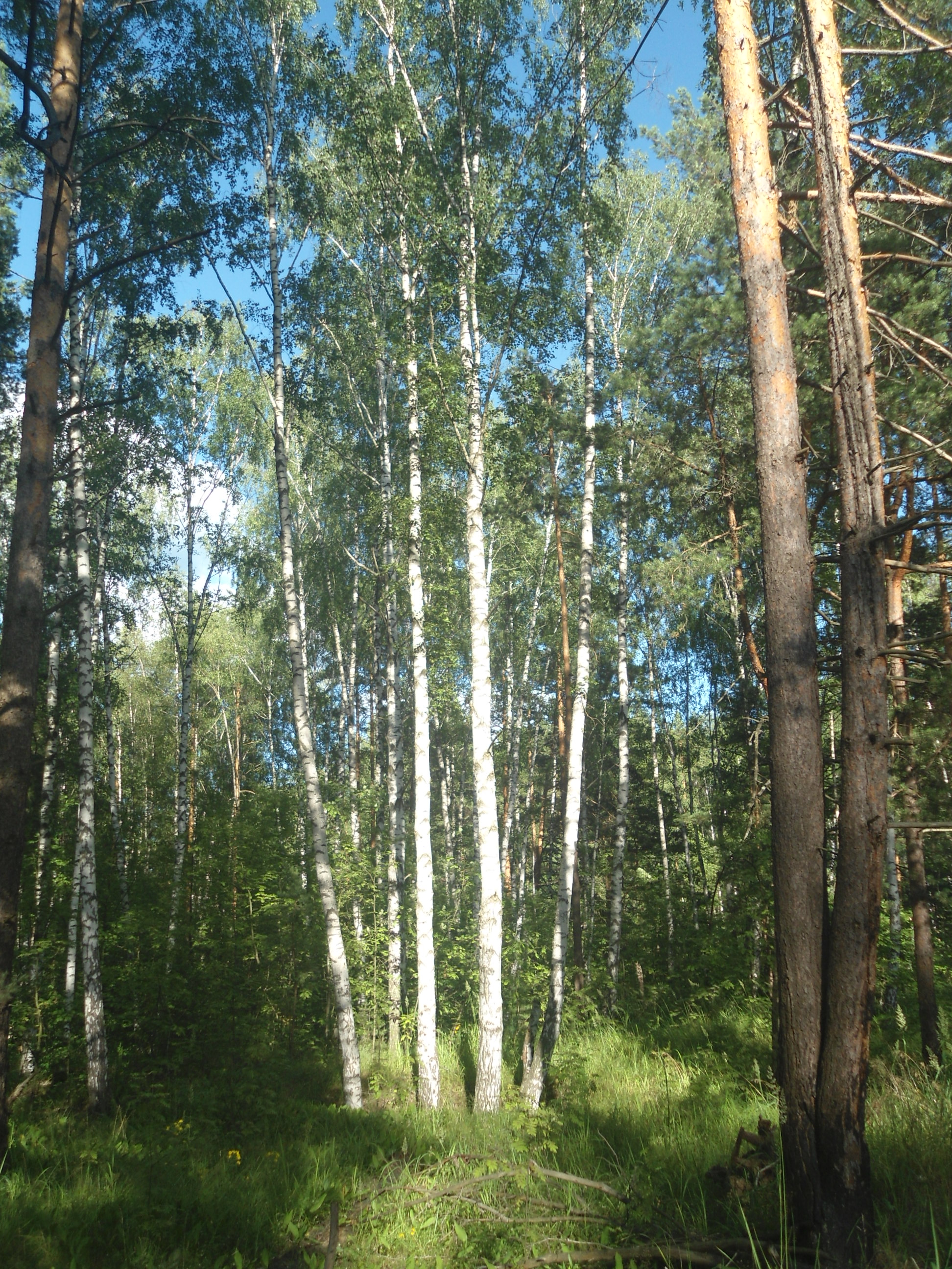 DSC09434.JPG