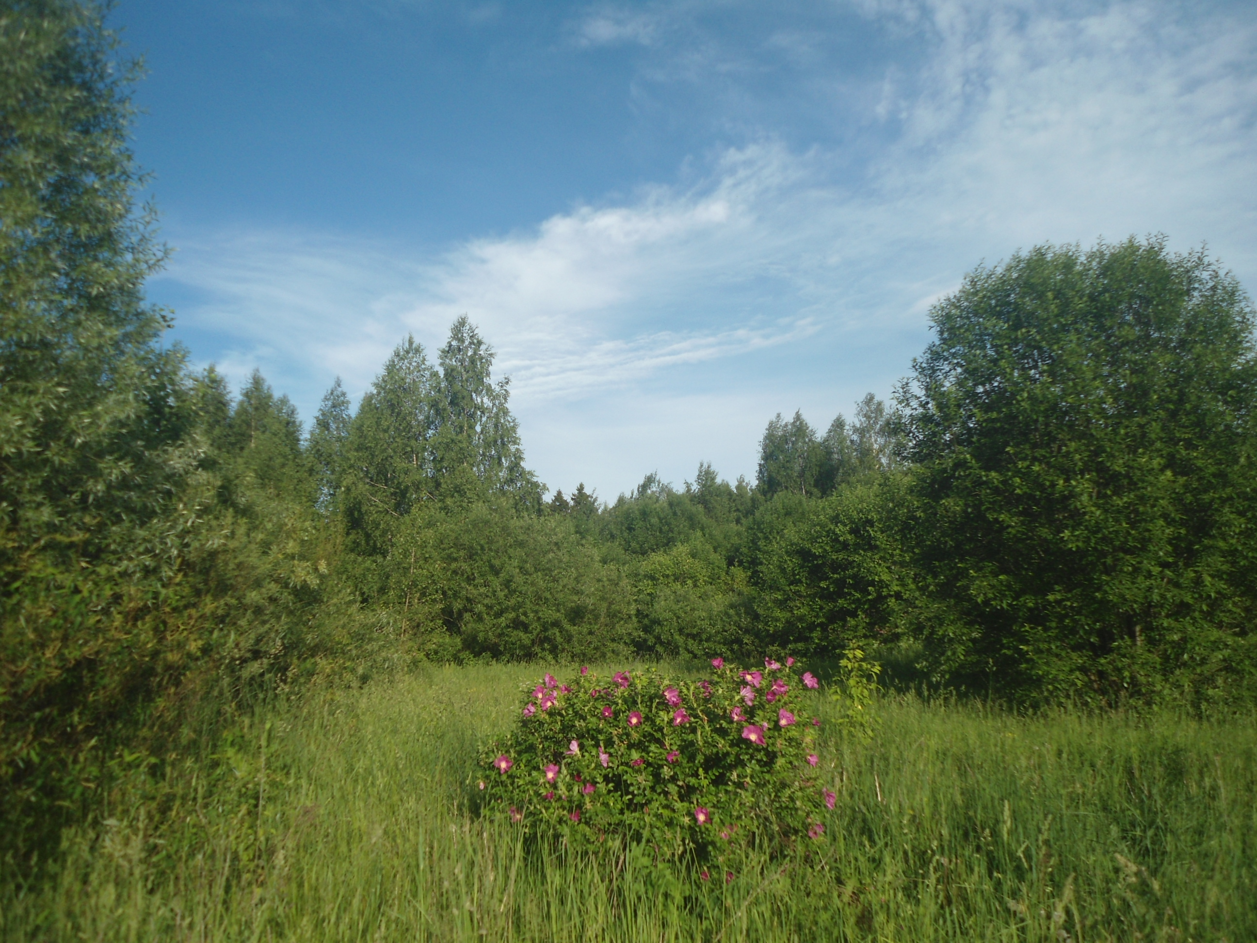 DSC09506.JPG