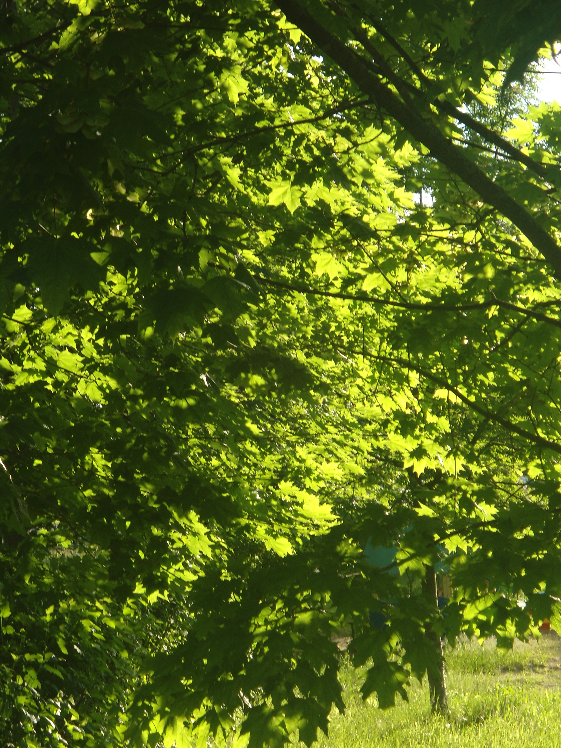 DSC09522.JPG