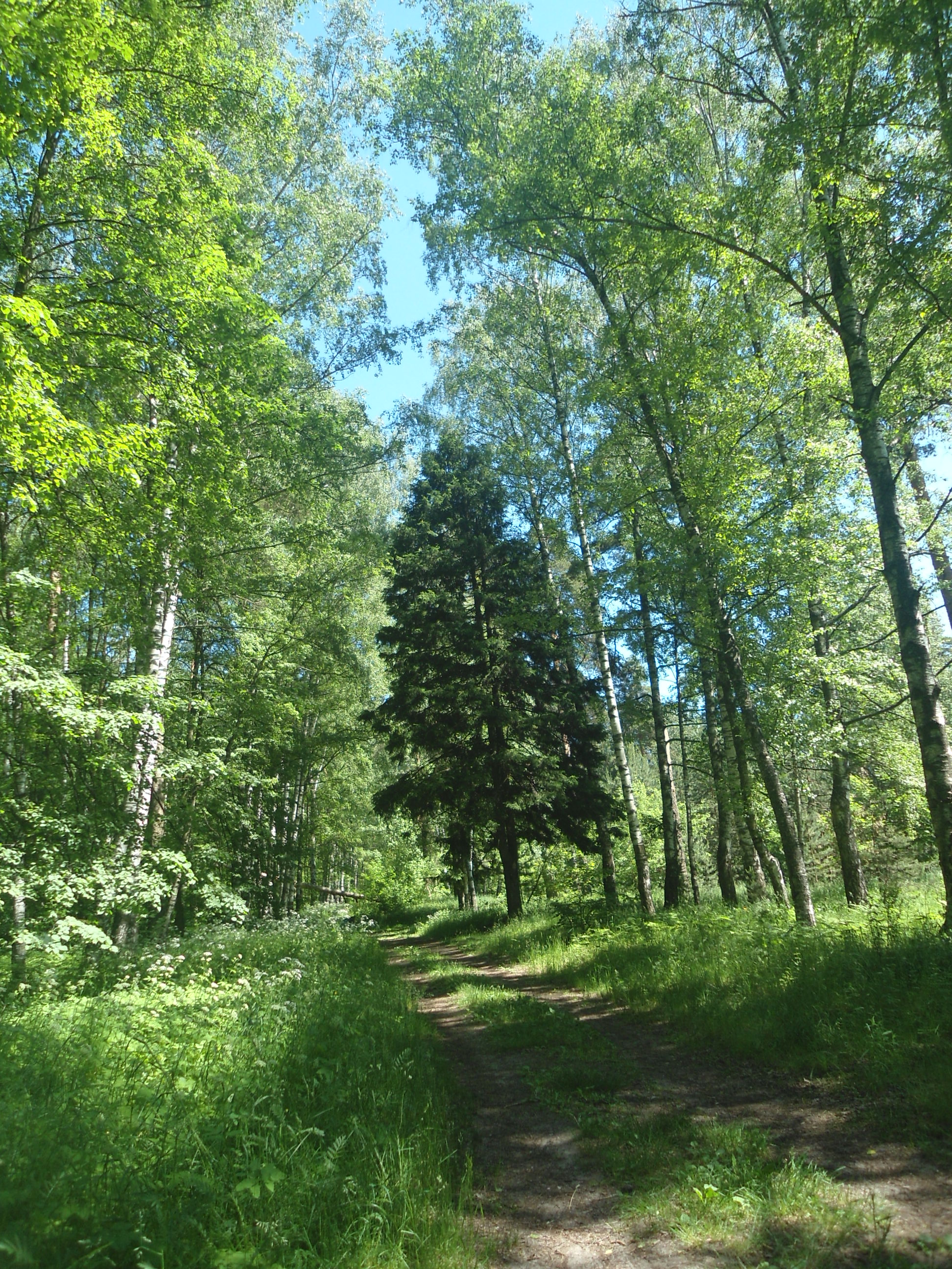 DSC09550.JPG